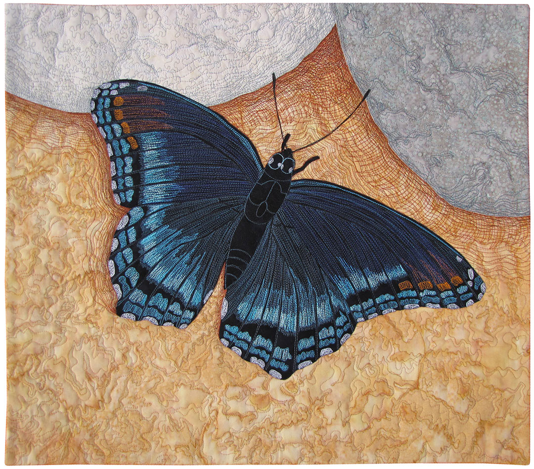 Red-Spotted Purple