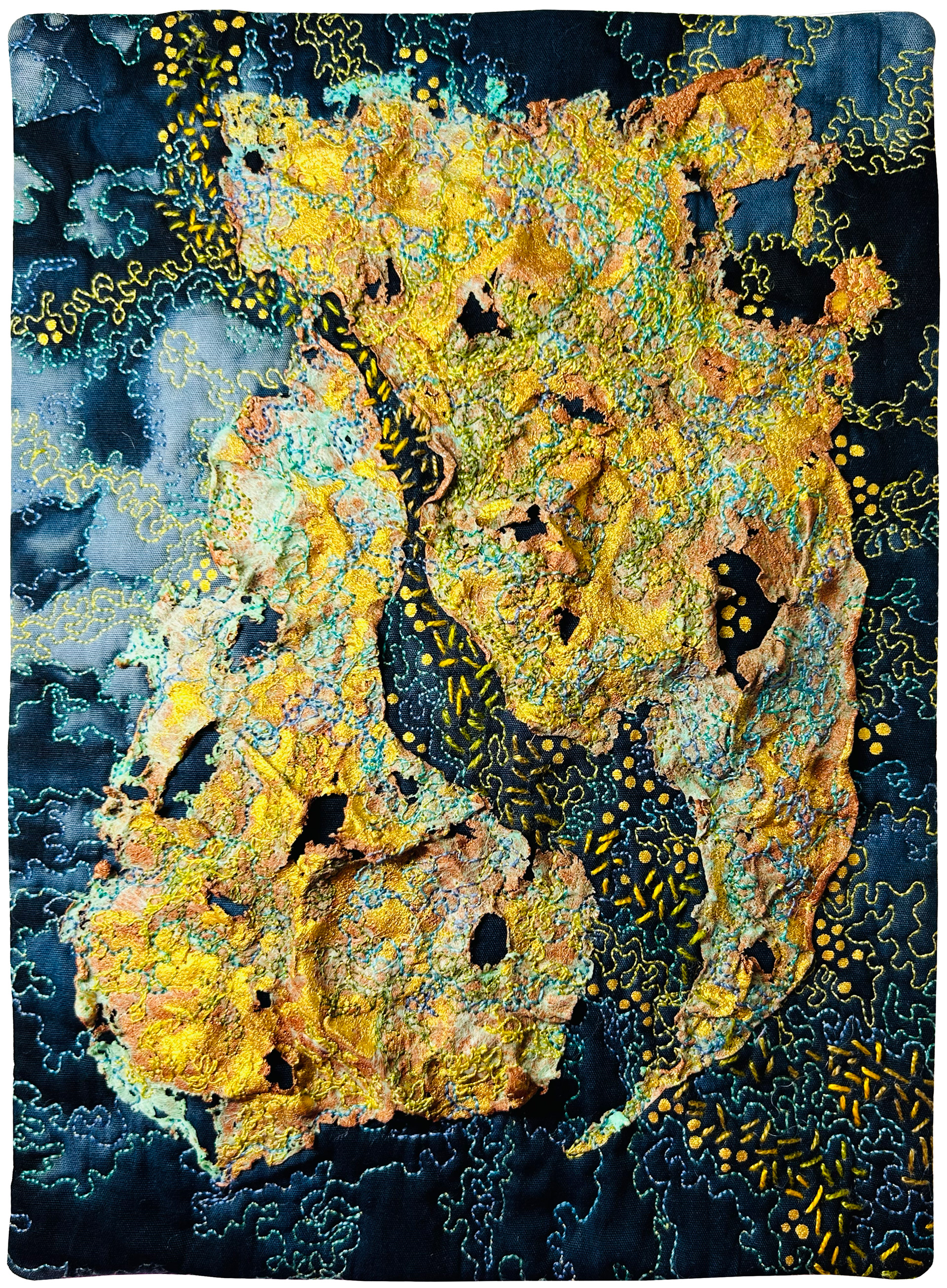 Lichen Study #1