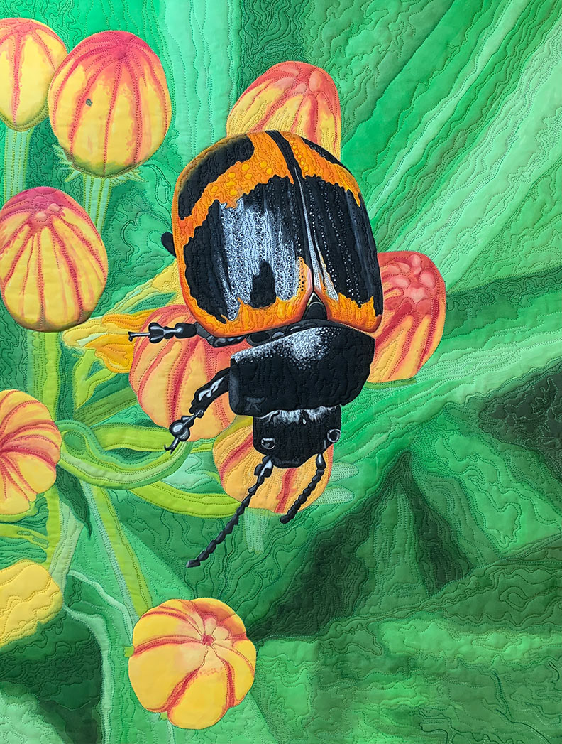 Orange Milkweed