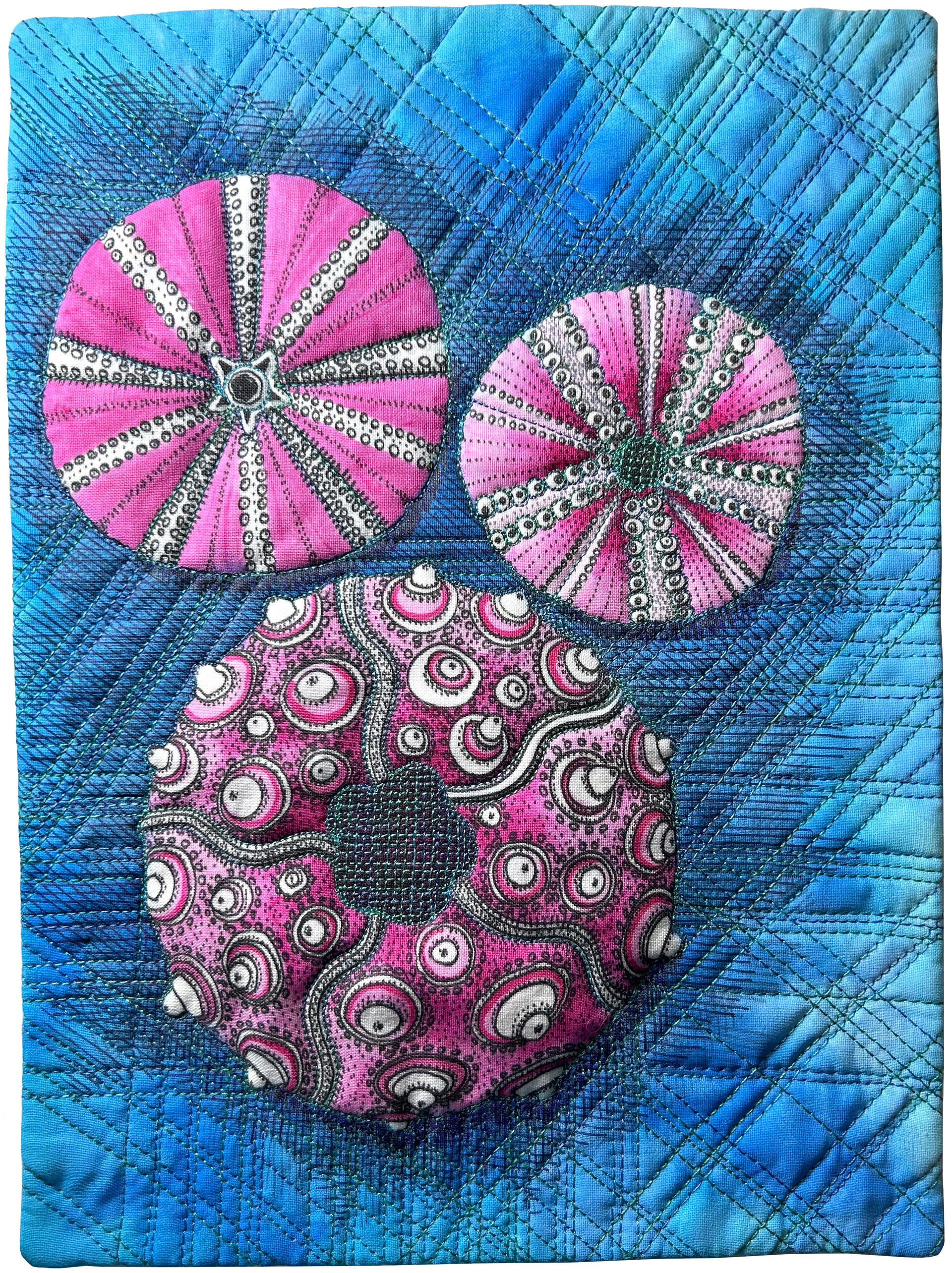 Pink Urchins