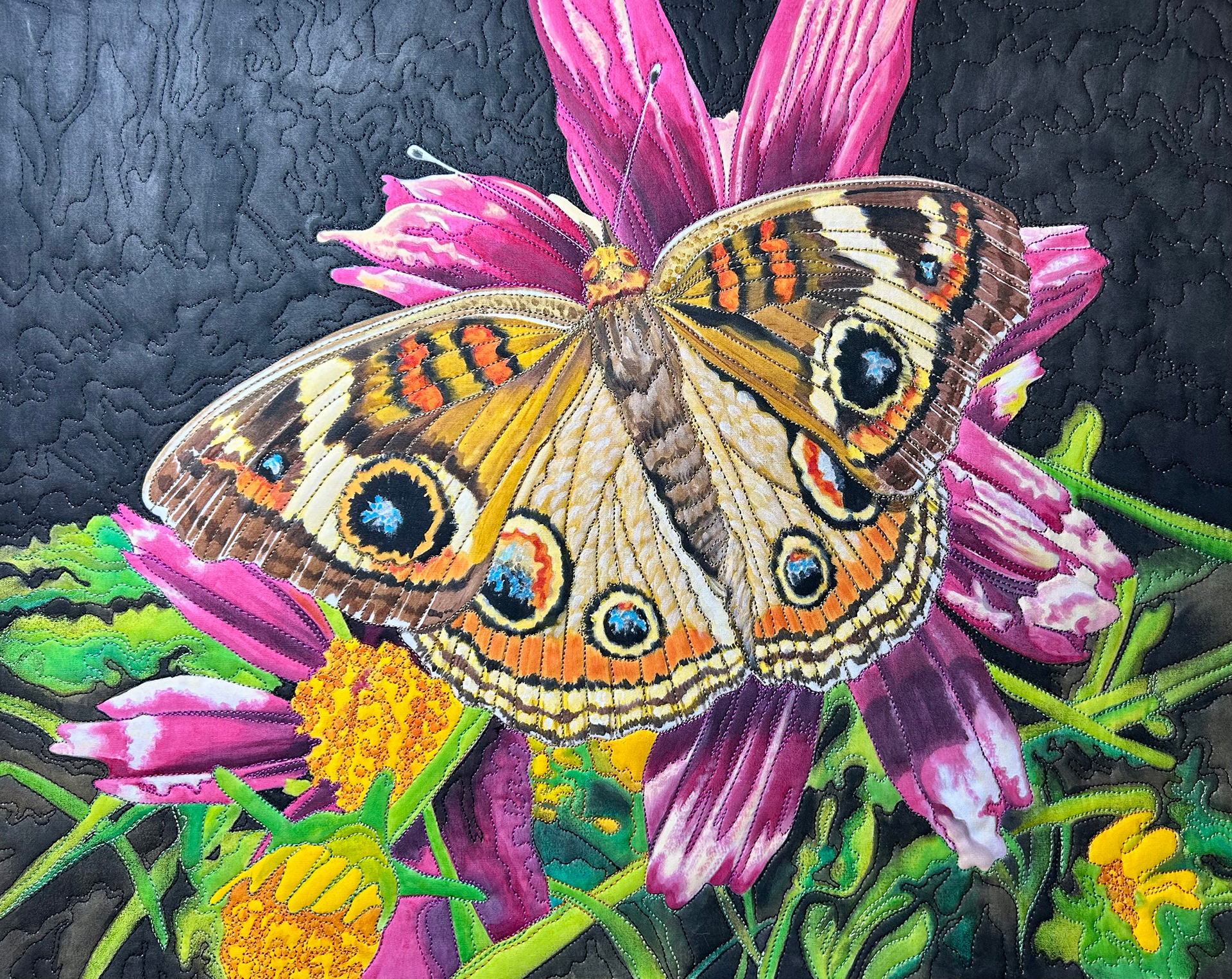 Common Buckeye