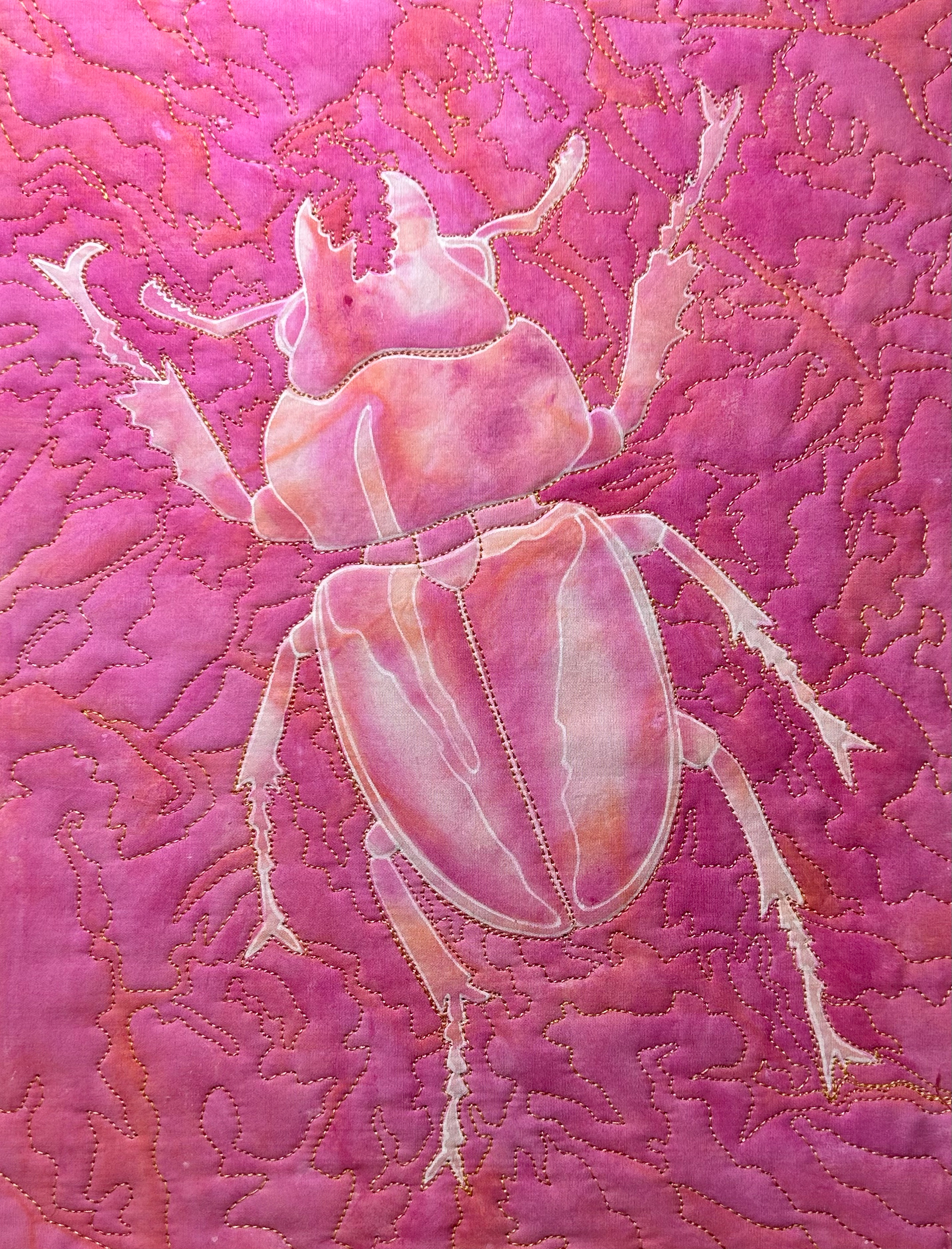 Stag Beetle