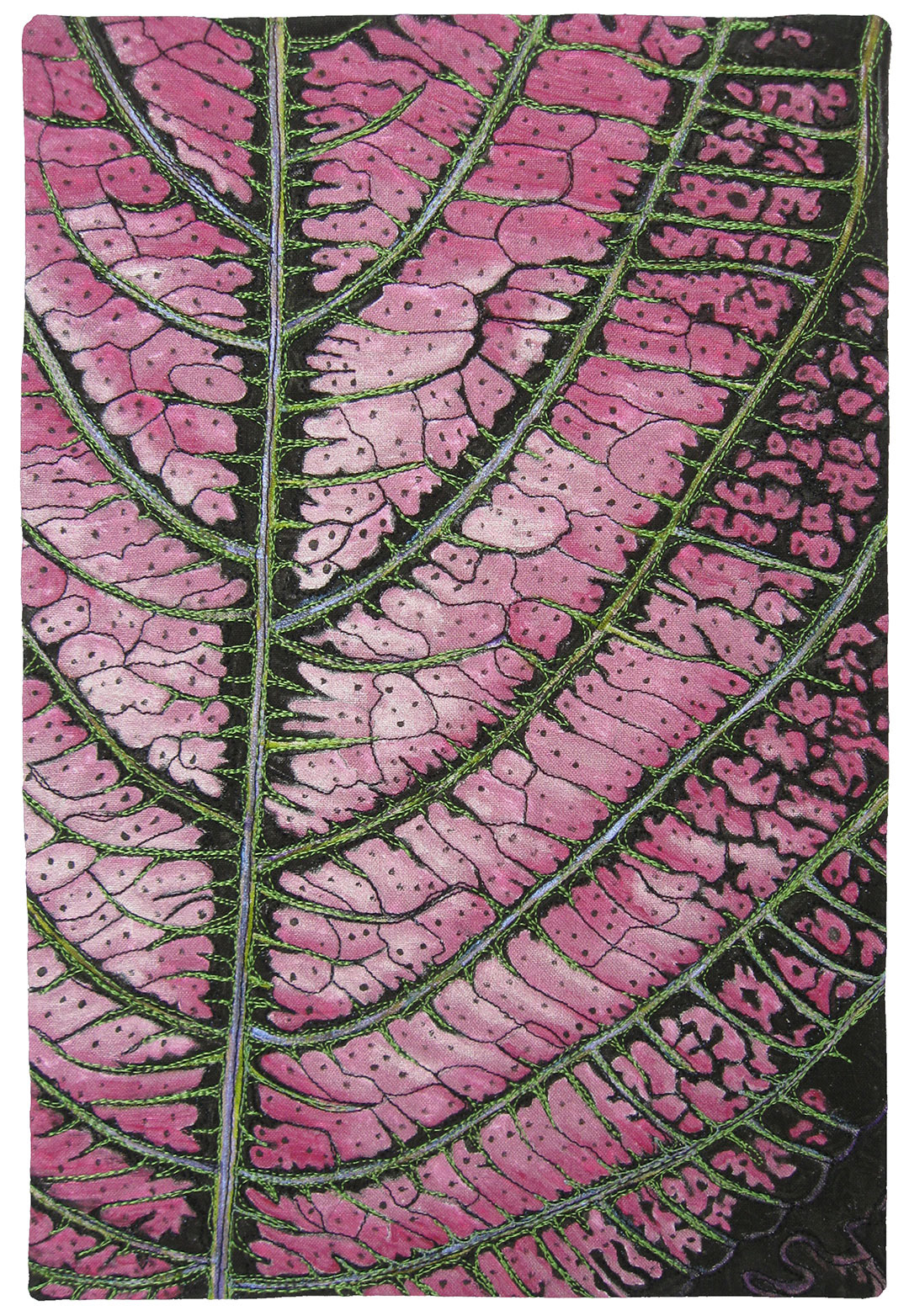 Coleus (Not!)