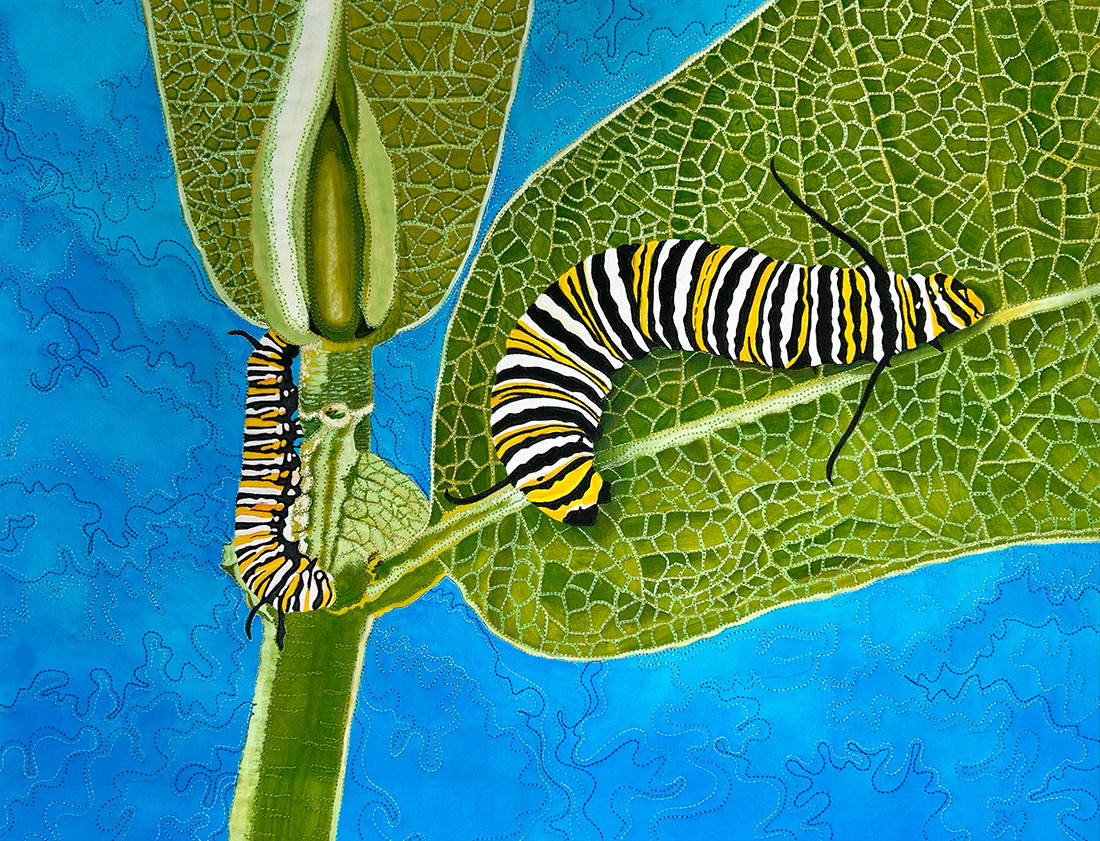 Monarch Munch