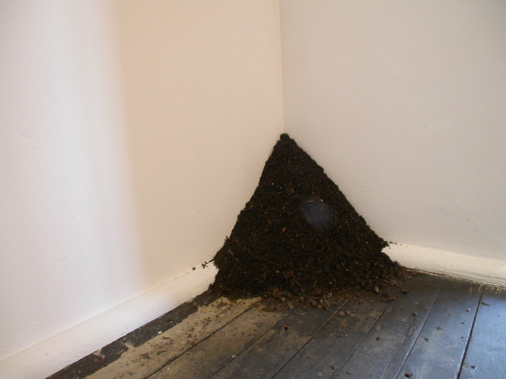 gretchen geraets, dirt, 2006