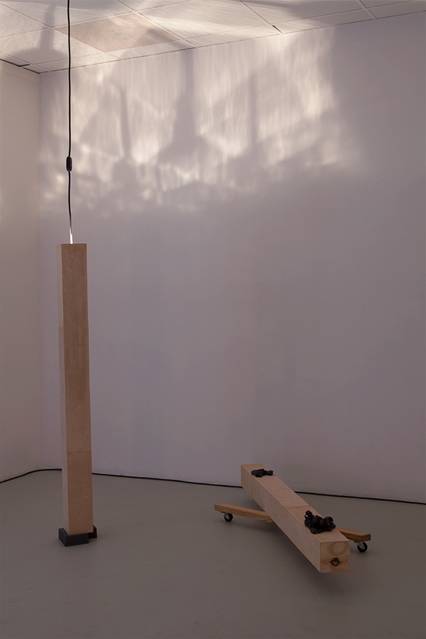 Nadja : Crystal Night, Plywood, mirri board, pine, high density foam, electric cable, light, switch, casters, wax, dimensions variable