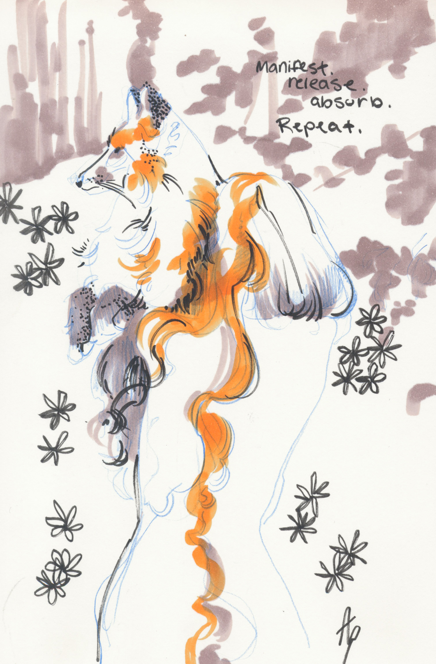 Drawing from photo