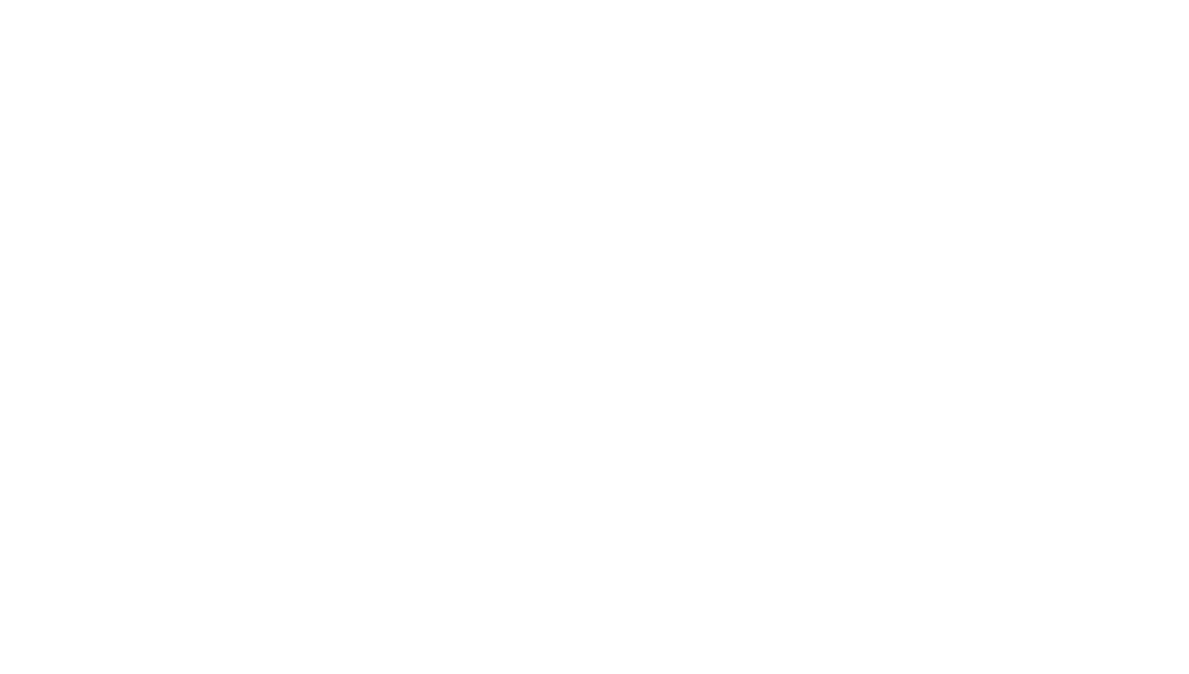 max dylan paul