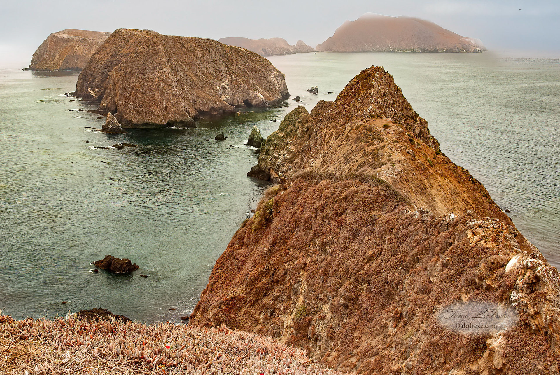 Channel Island Ca