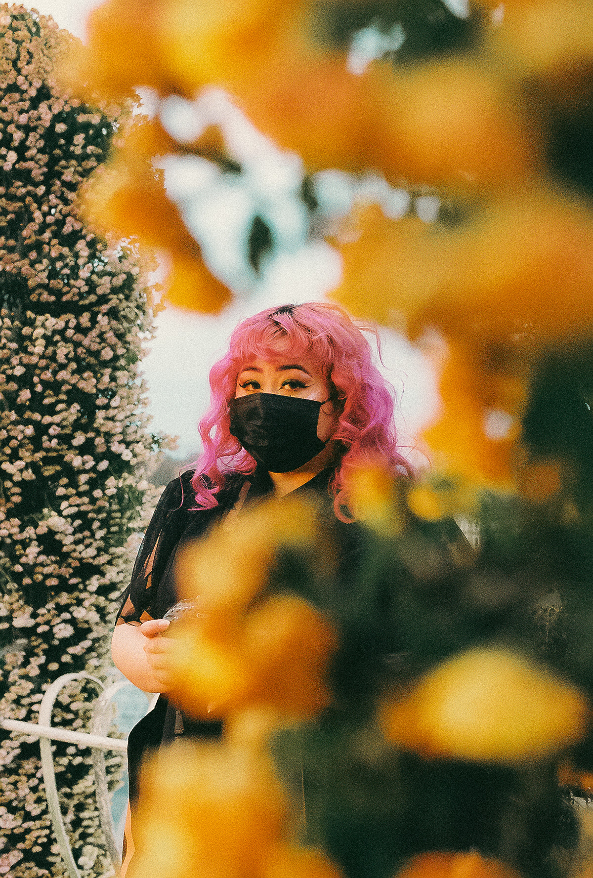 Peeking flowers