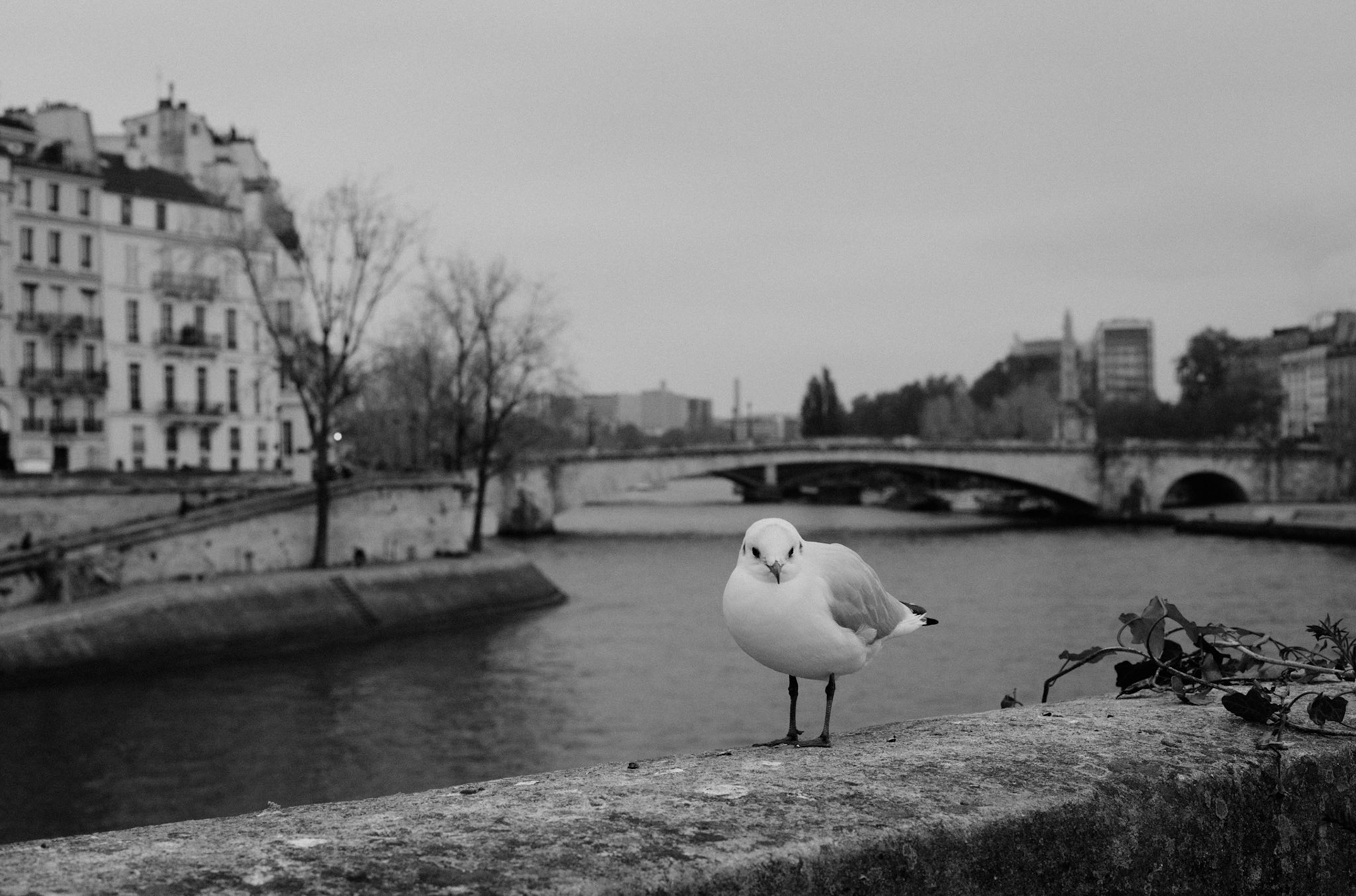 Paris, France - November 2021