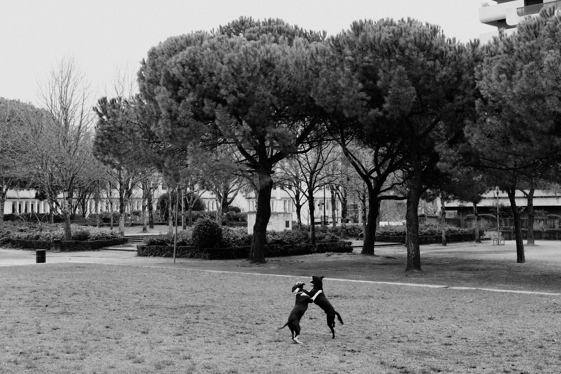 Bordeaux, France - January 2019