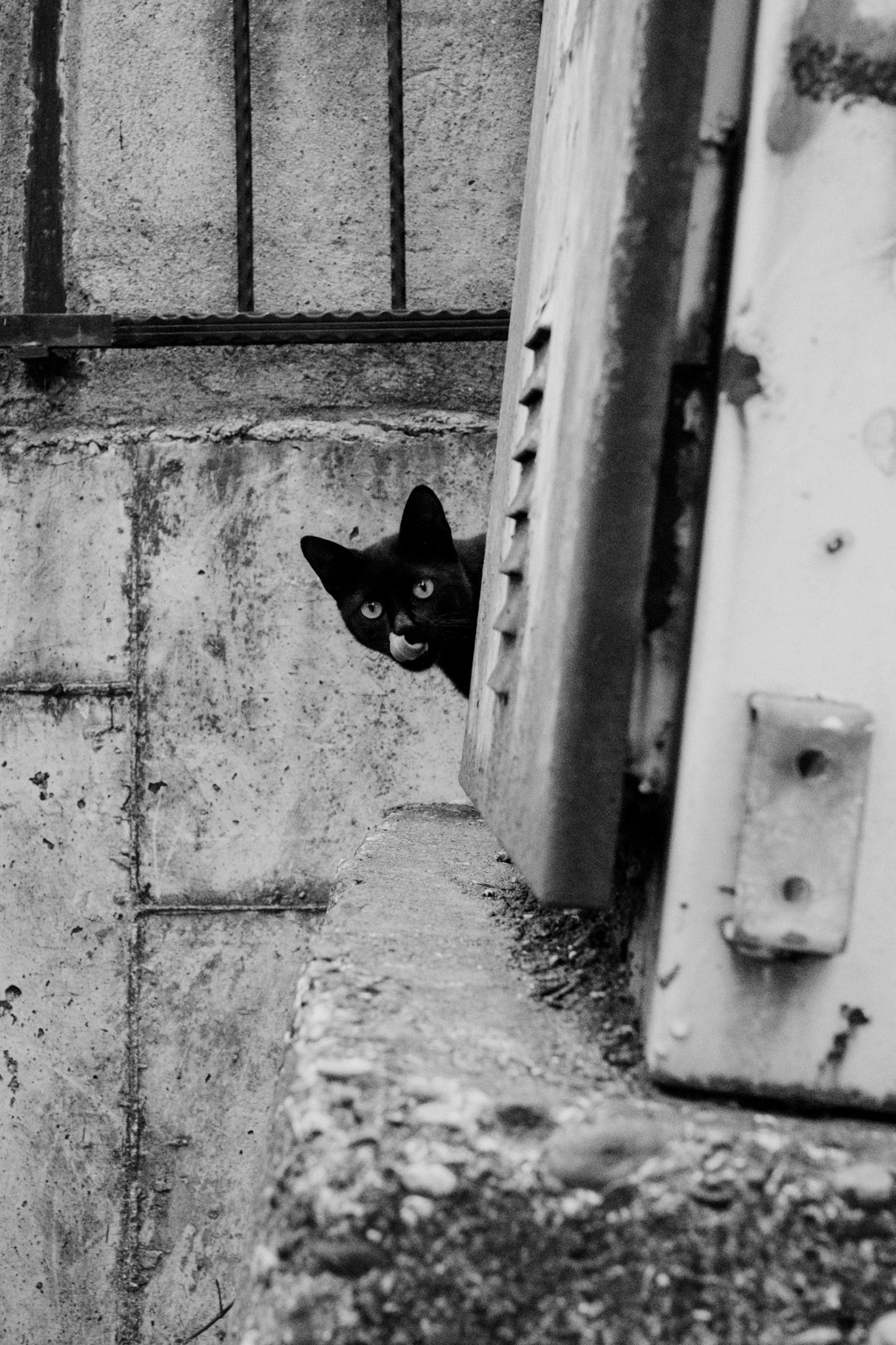 Ünye, Turkey - September 2021