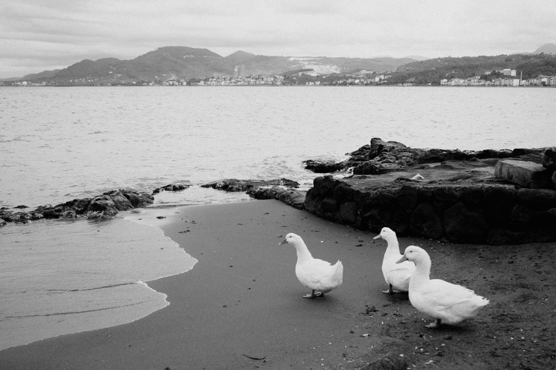 Ünye, Turkey - September 2021