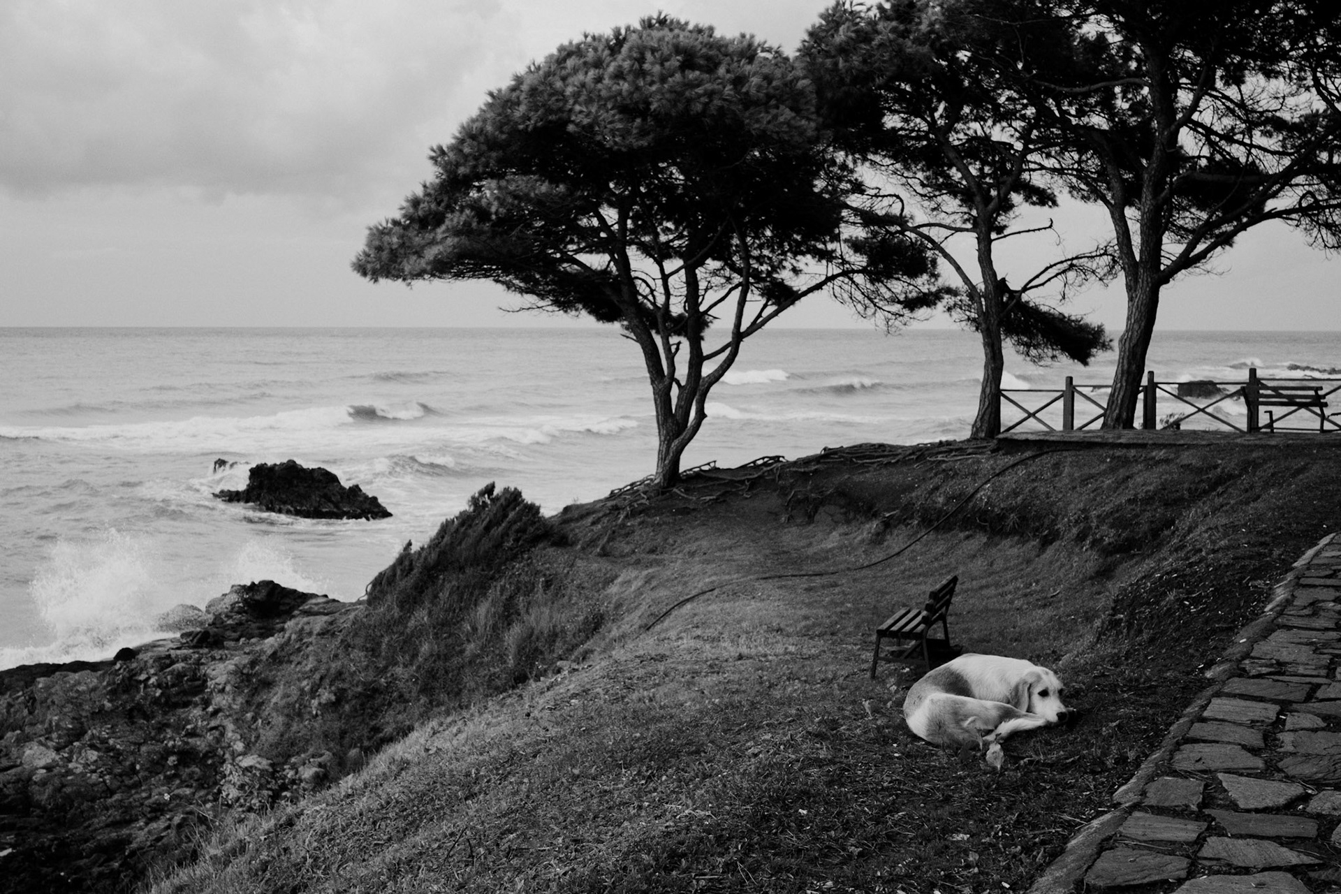 Ünye, Turkey - September 2021