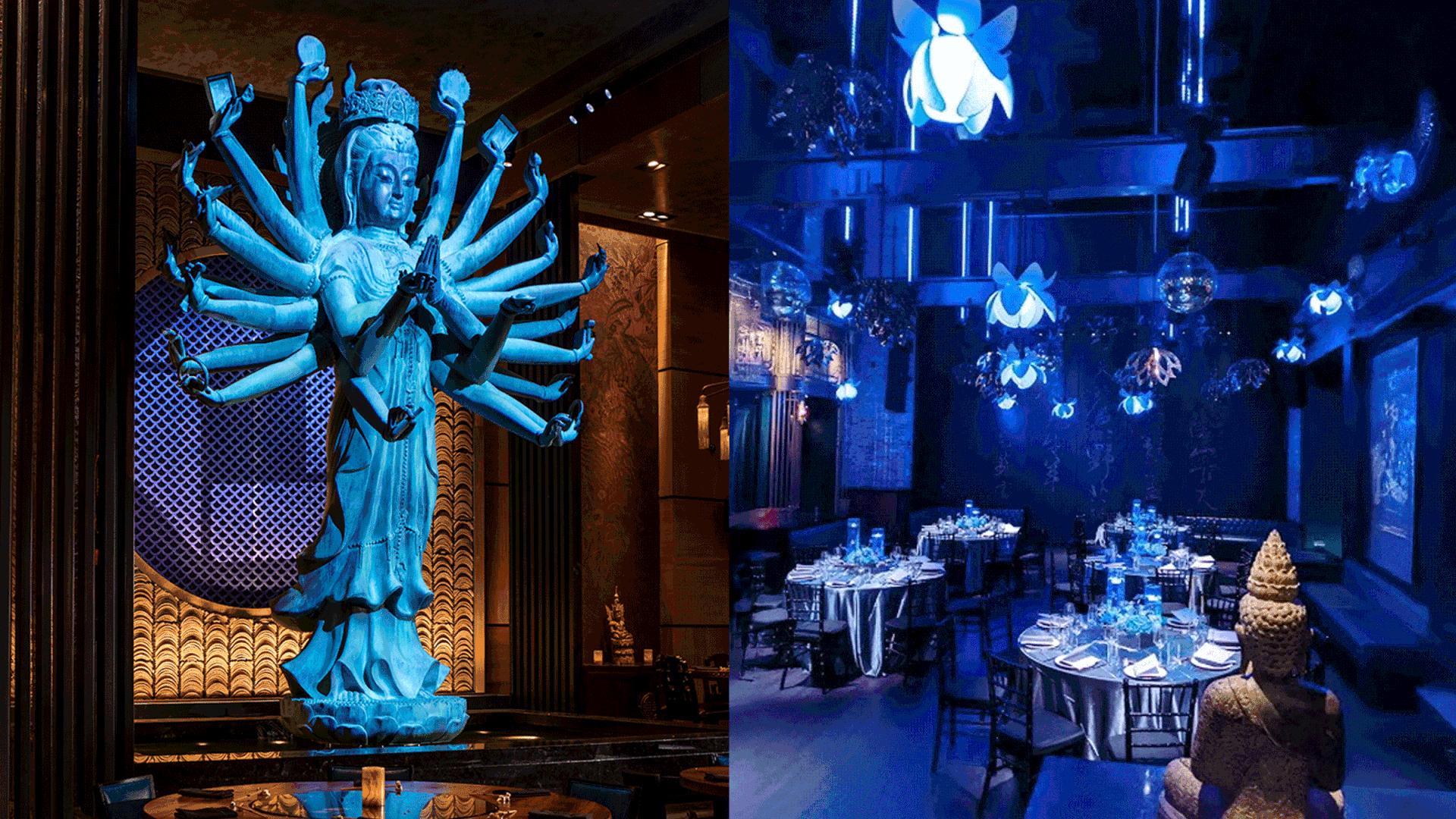 Chase Sapphire x TAO