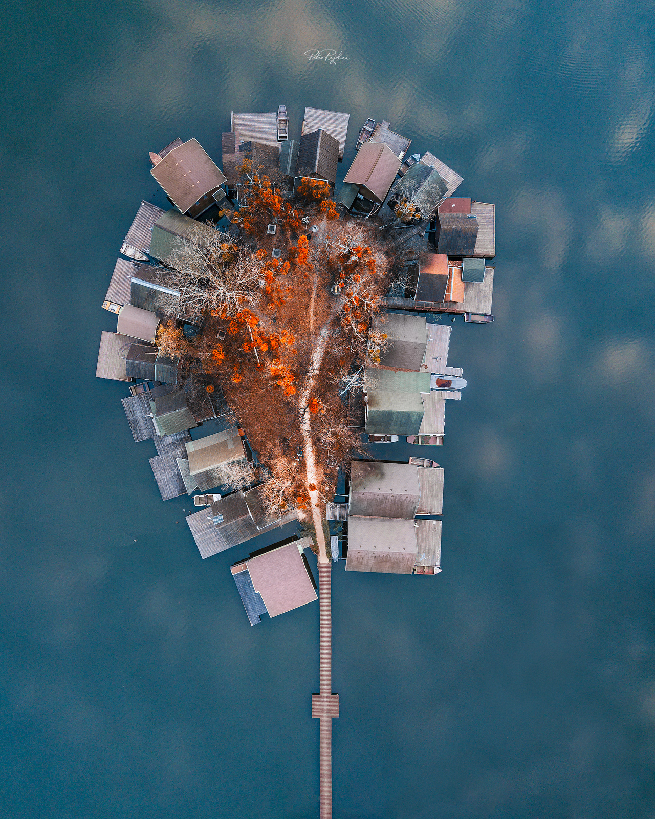 Sky-high Tree