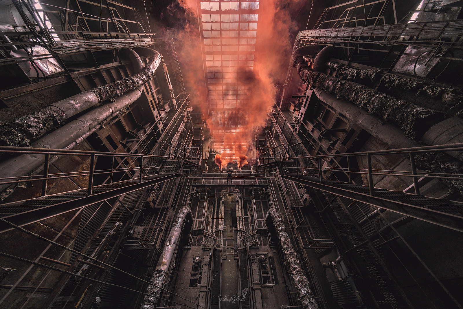 Call of the Dead