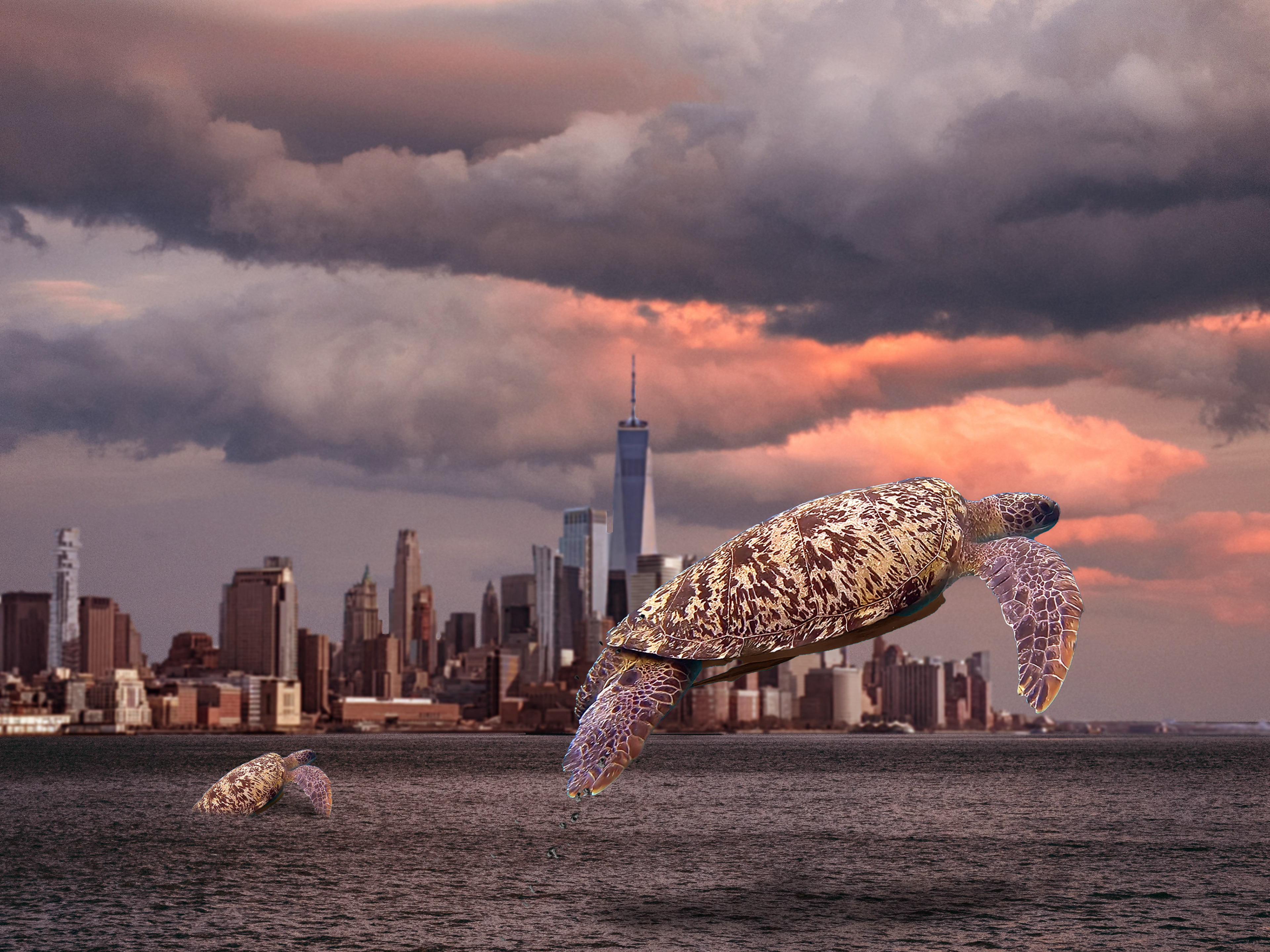 "Learning to Fly" | Photoshop