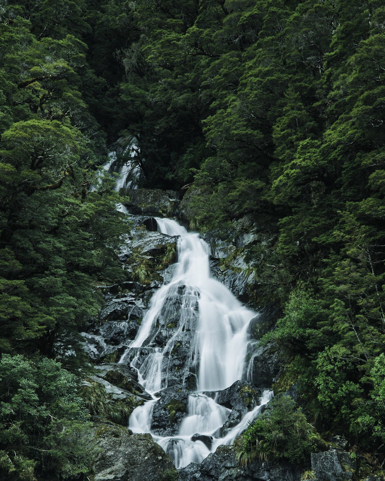 Fantail Falls
