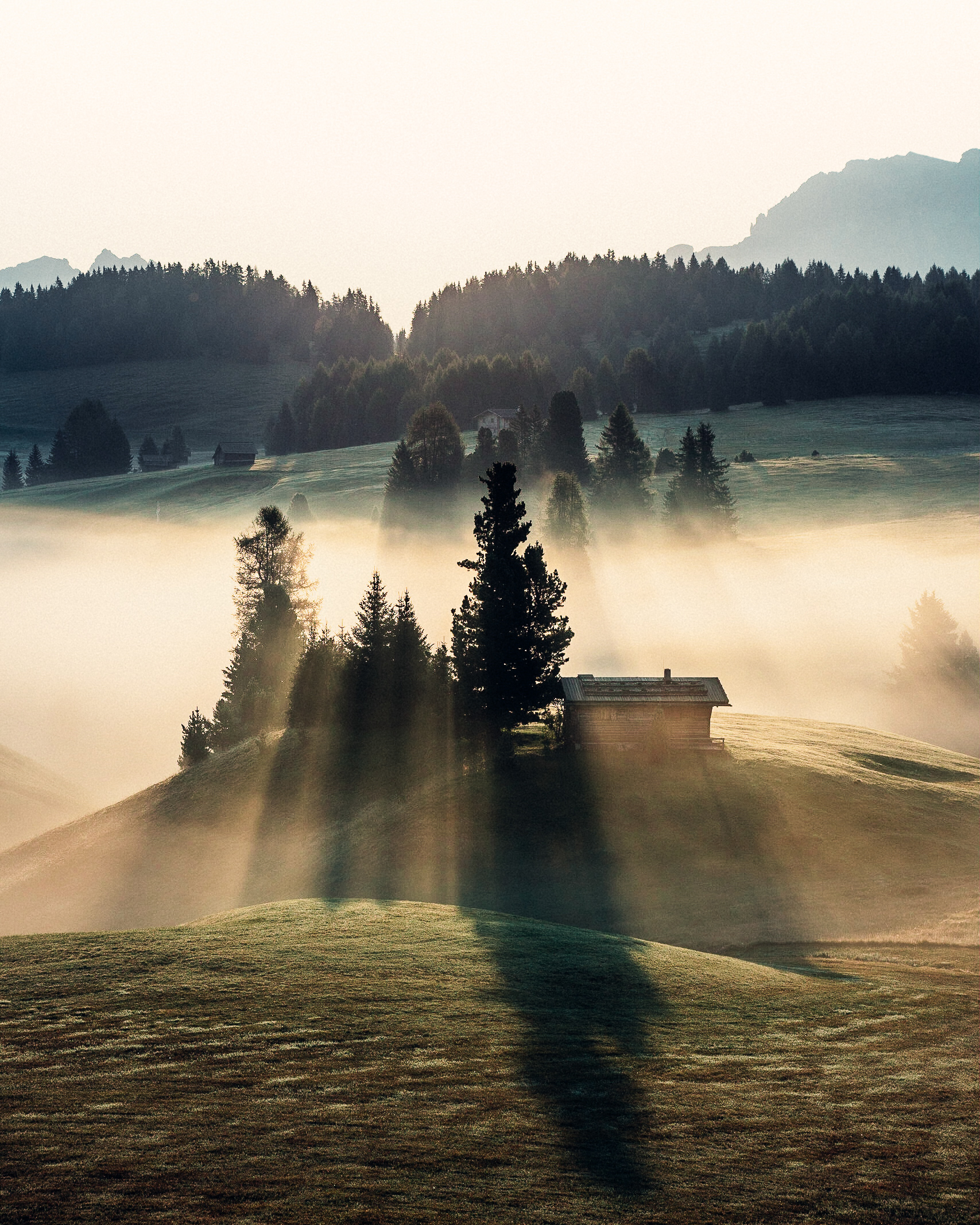 Alpe di Suisi, ITA