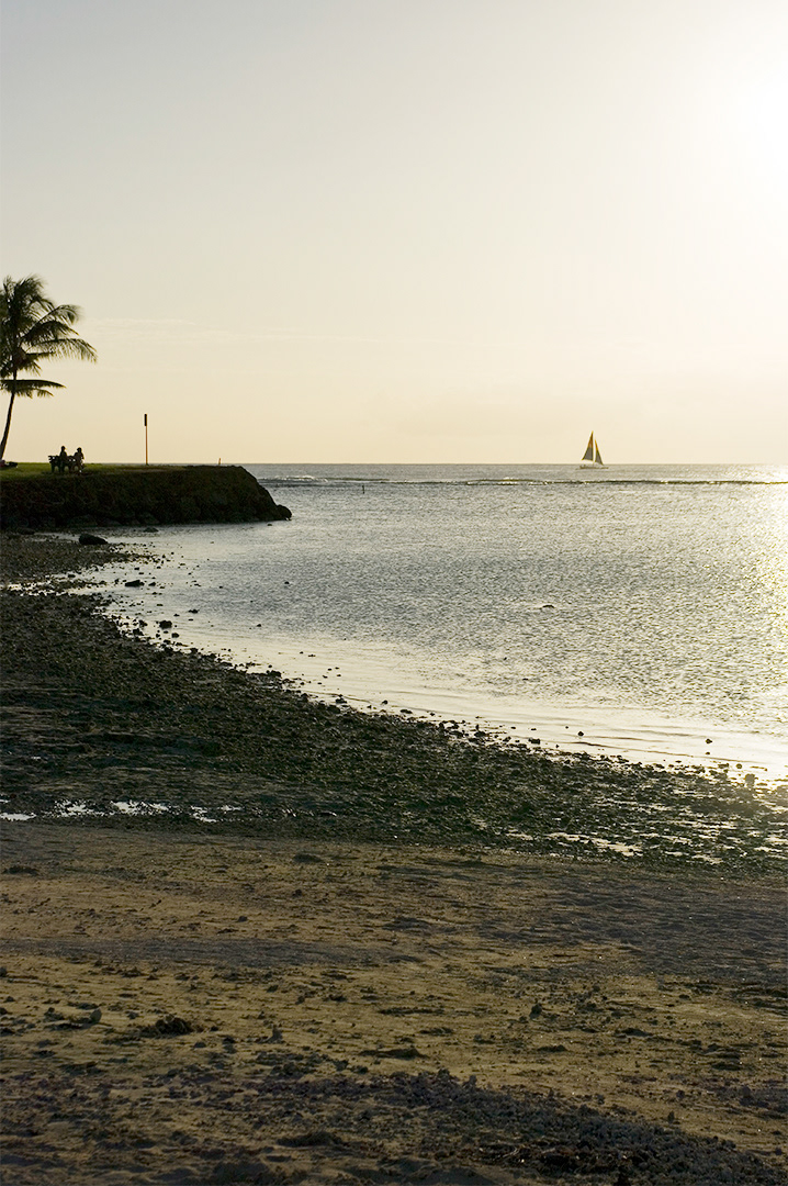 Looking out towards a hazy sunset, a couple beneath a palm tree watches a small sailboat out beyond the surf