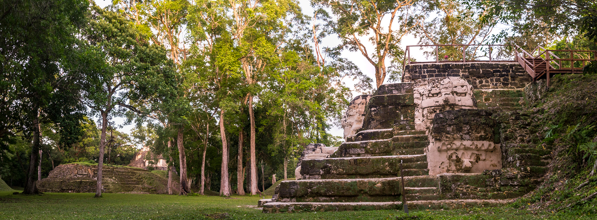 at the main temple complex of Uaxactun where white plastered faces stand out of the stepped temples covered in moss and lichens