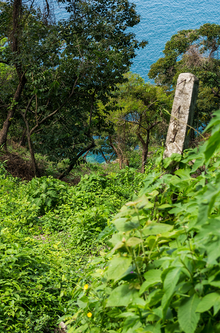 An old concrete guard rail sticks out amongst the vines and trees that cover a steep hill down to the aqua blue water of lake atitlan below