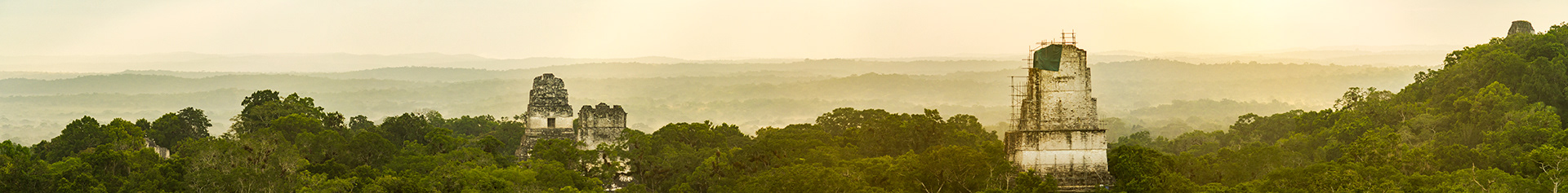 A hazy golden morning looking out over the jungle surrounding Tikal's largest temples that stand above the treeline