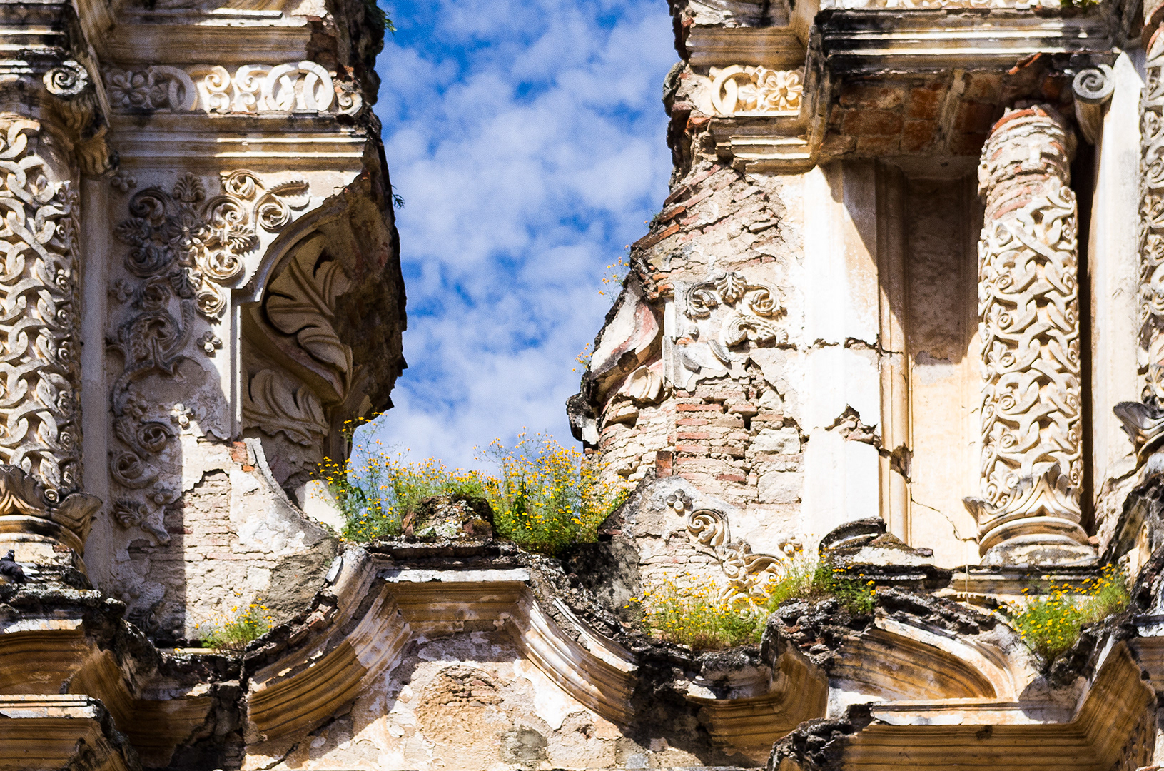 Intricate stone work details and exposed brick contrasts with the bright greens and flowering yellows of weeds that have grown on an earthquake damaged church window which now opens to soft white clouds in a deep blue sky