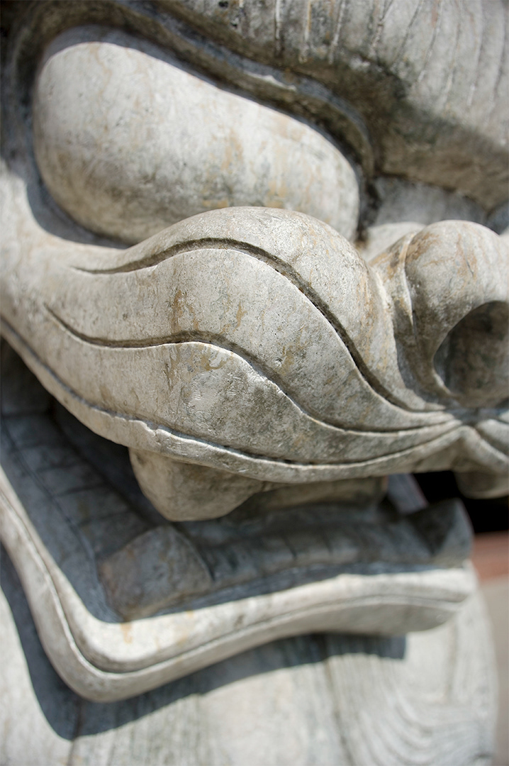 details of the carved stone on the face of a fu dog at the Po Lin Monastery