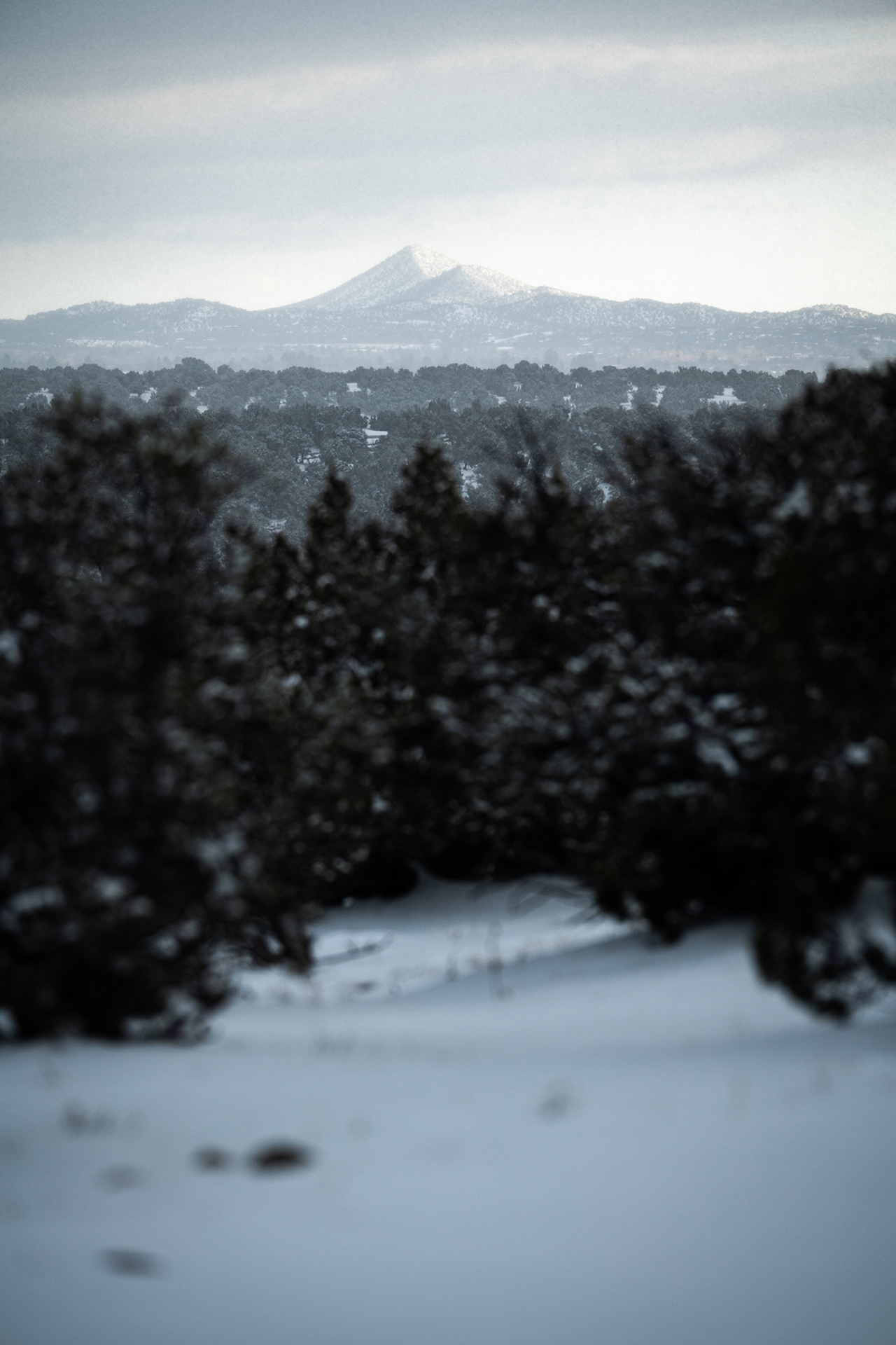 Looking out above the La Tierra Trails during an evening snowstorm to distant peaks in a soft muted light