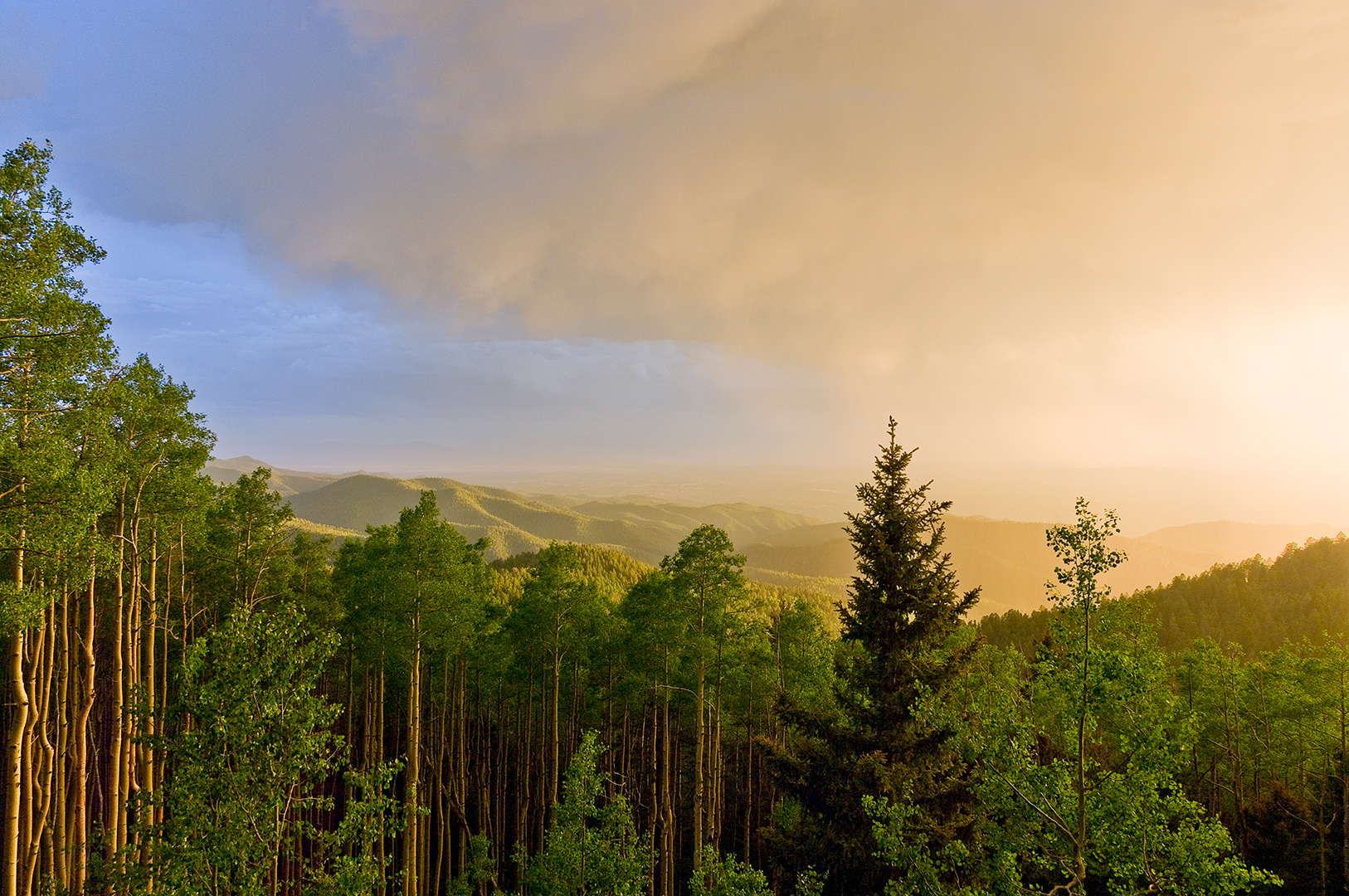 A verdent outcropping of aspens reflect the brilliant light from a sunset that is illuminating a massive storm front at the Santa Fe Overlook