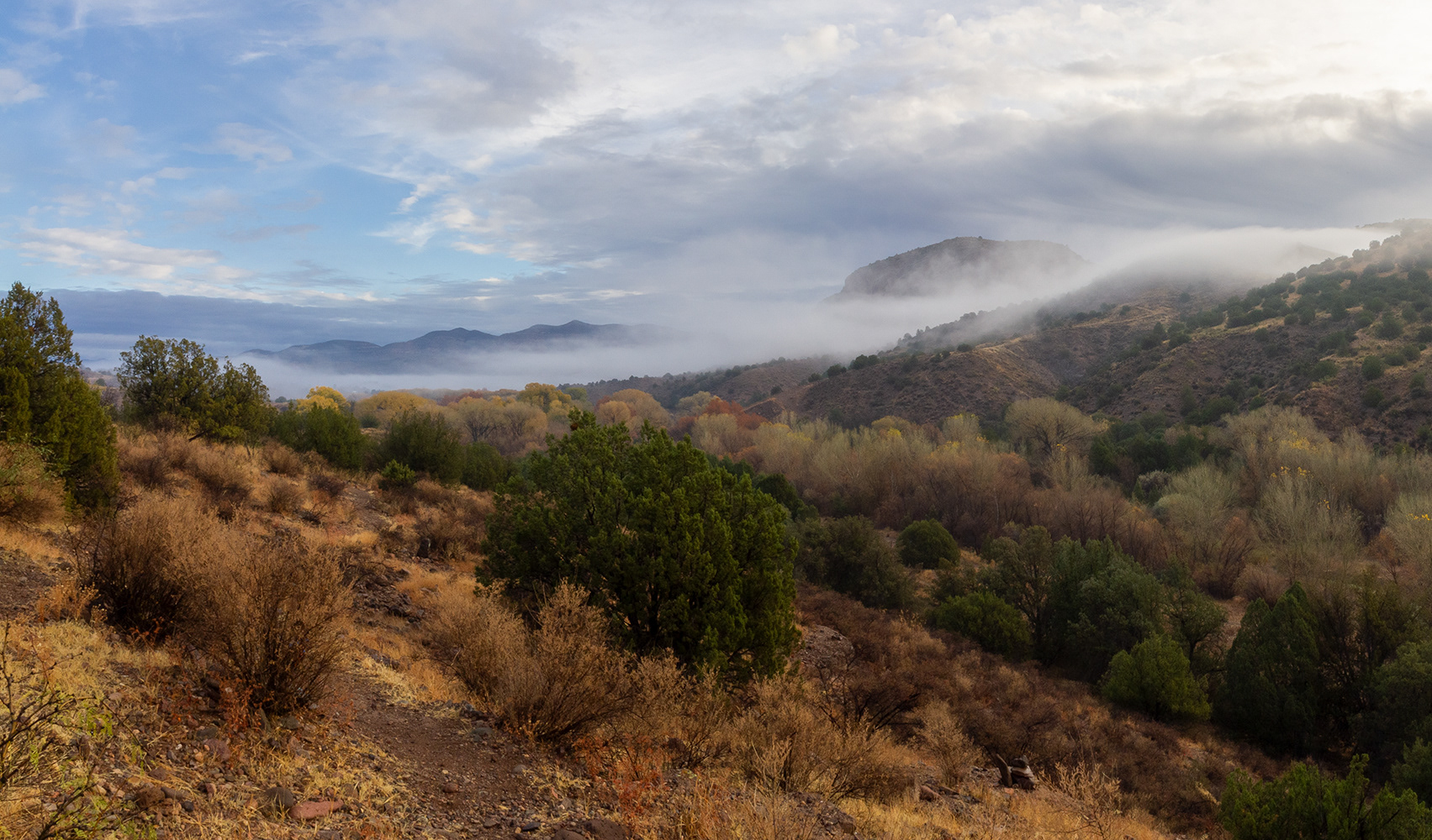 Early morning fog rolling into the Bear Creek valley near the Gila Wilderness in New Mexico