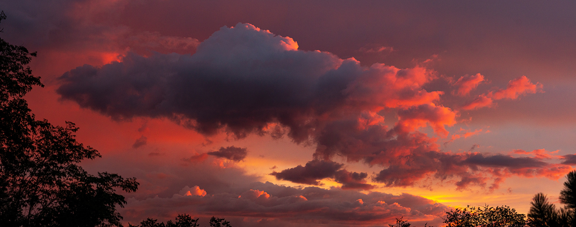 A storm cell of clouds glowing with neon ember firelight, framed with black trees