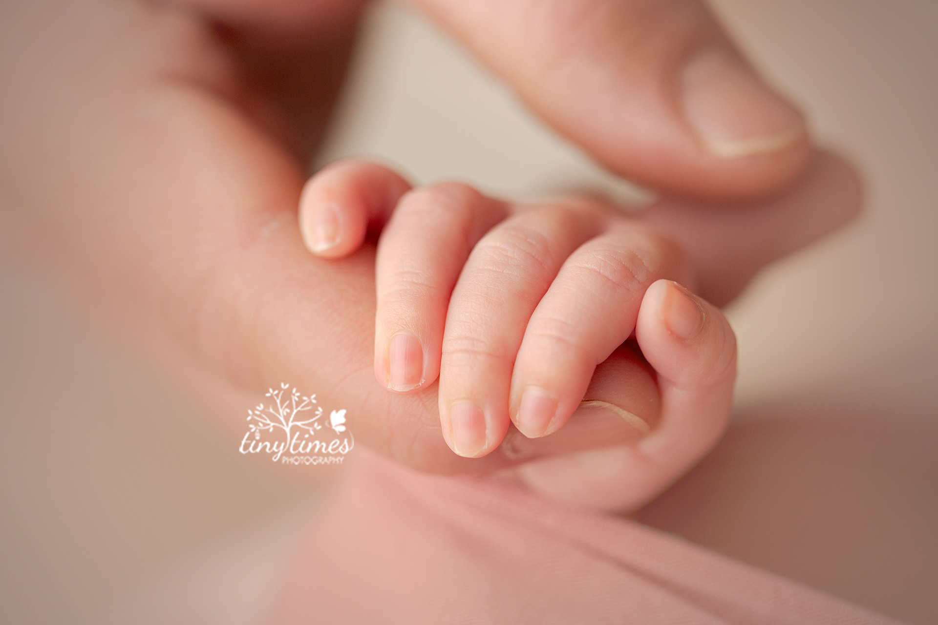 Vancouver Washington Newborn Photographer