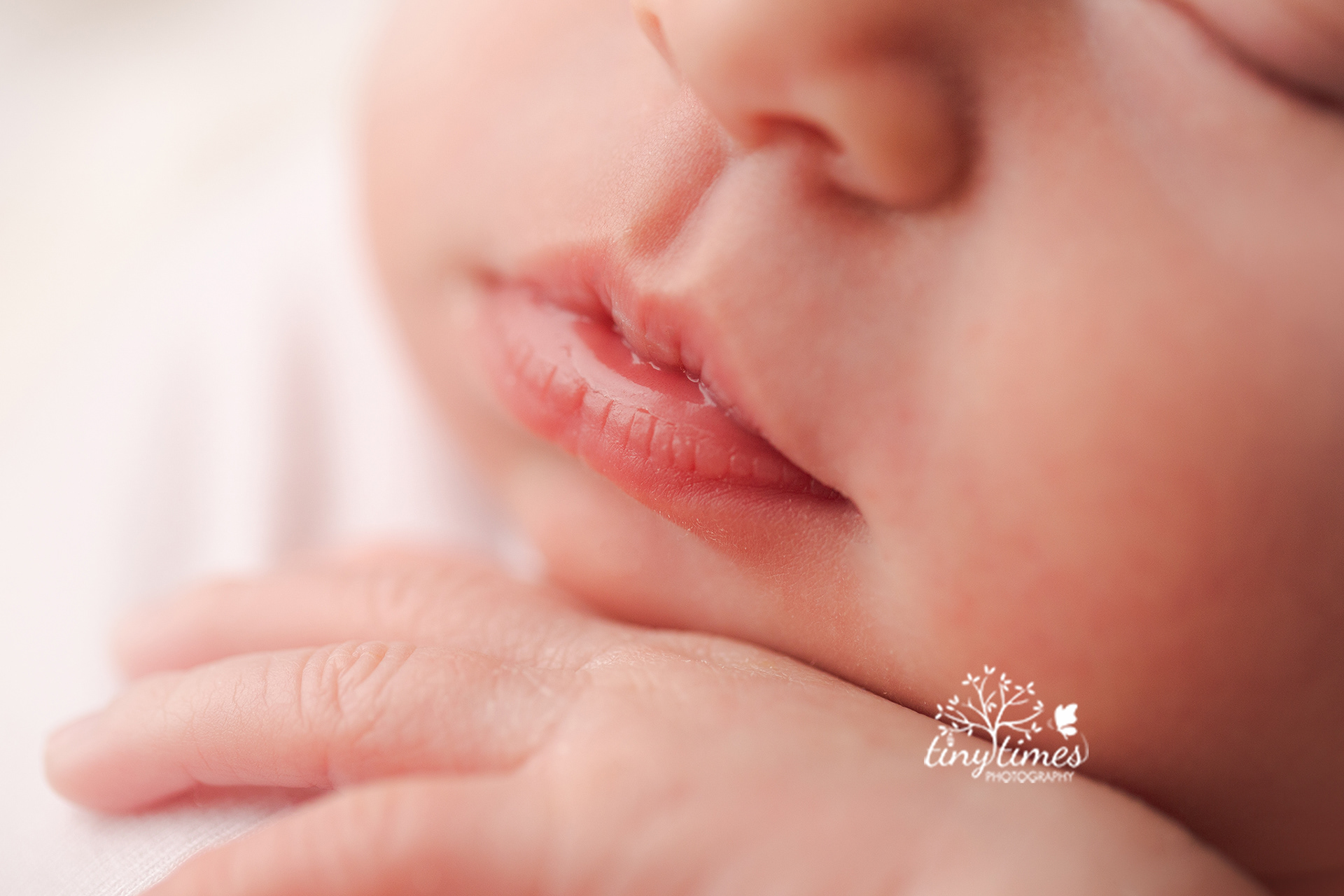 Vancouver wa newborn photographer