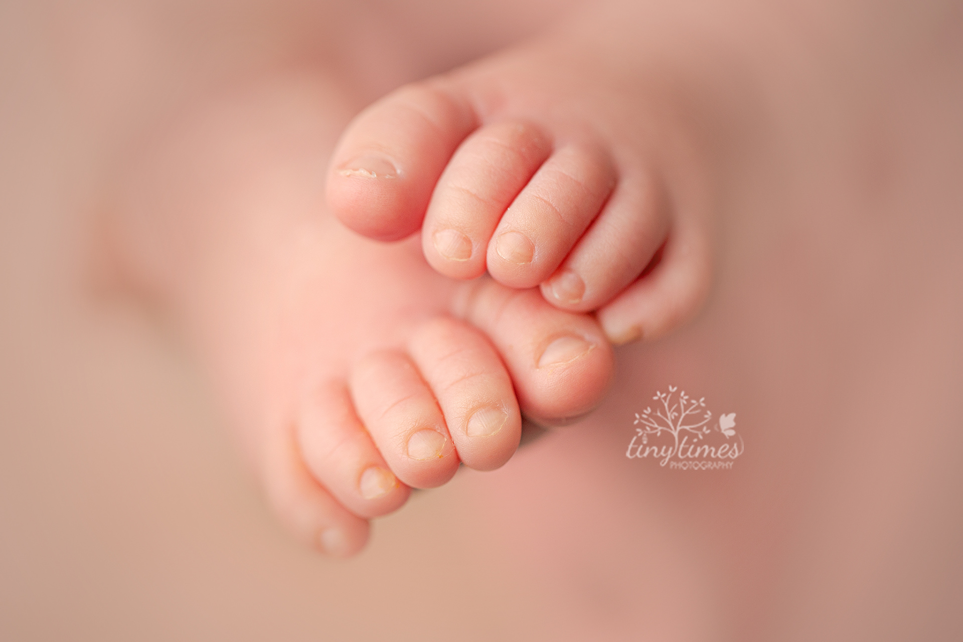Vancouver Washington Newborn Photographer
