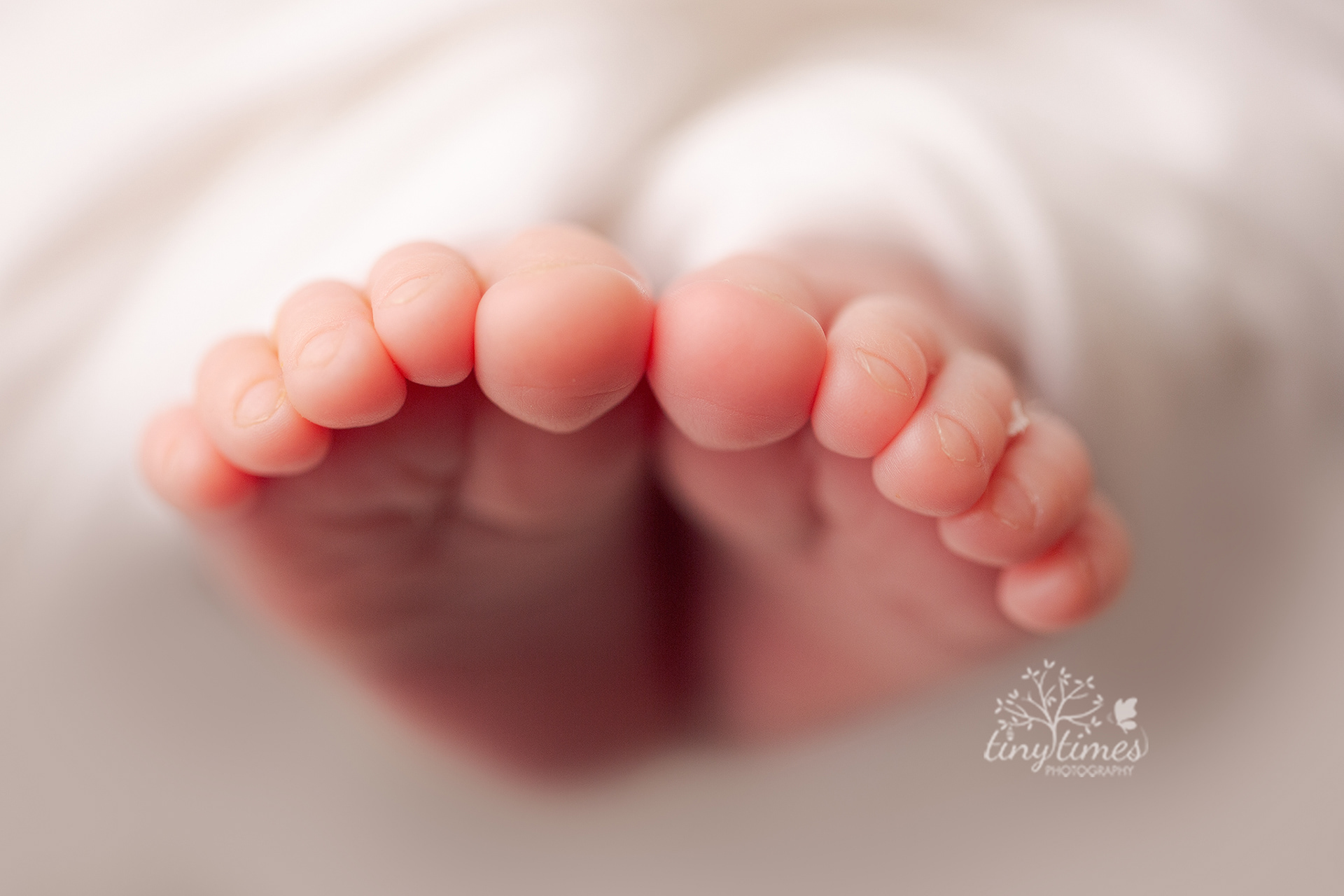 Vancouver wa newborn photographer