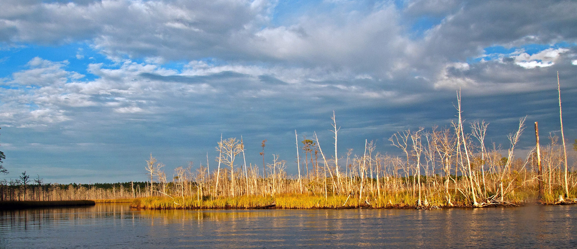 Fishing Spot On The Intracoastal