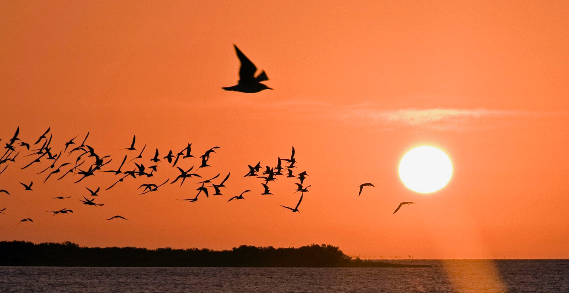 Out To Sea/Cedar Creek.FL
