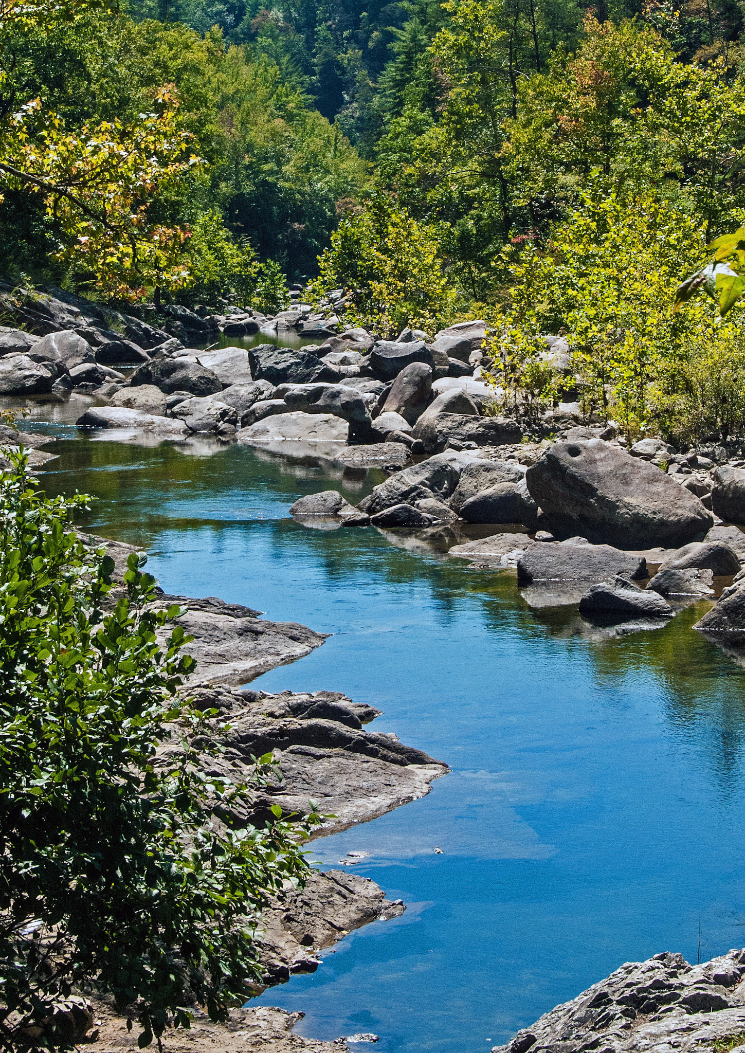 Clear Carolina Waters