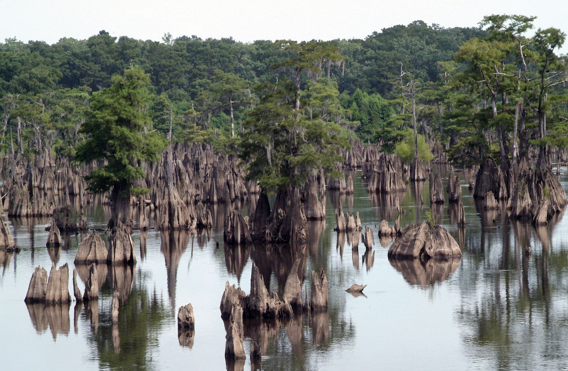 Dead Lake/Wewahitchia, FL