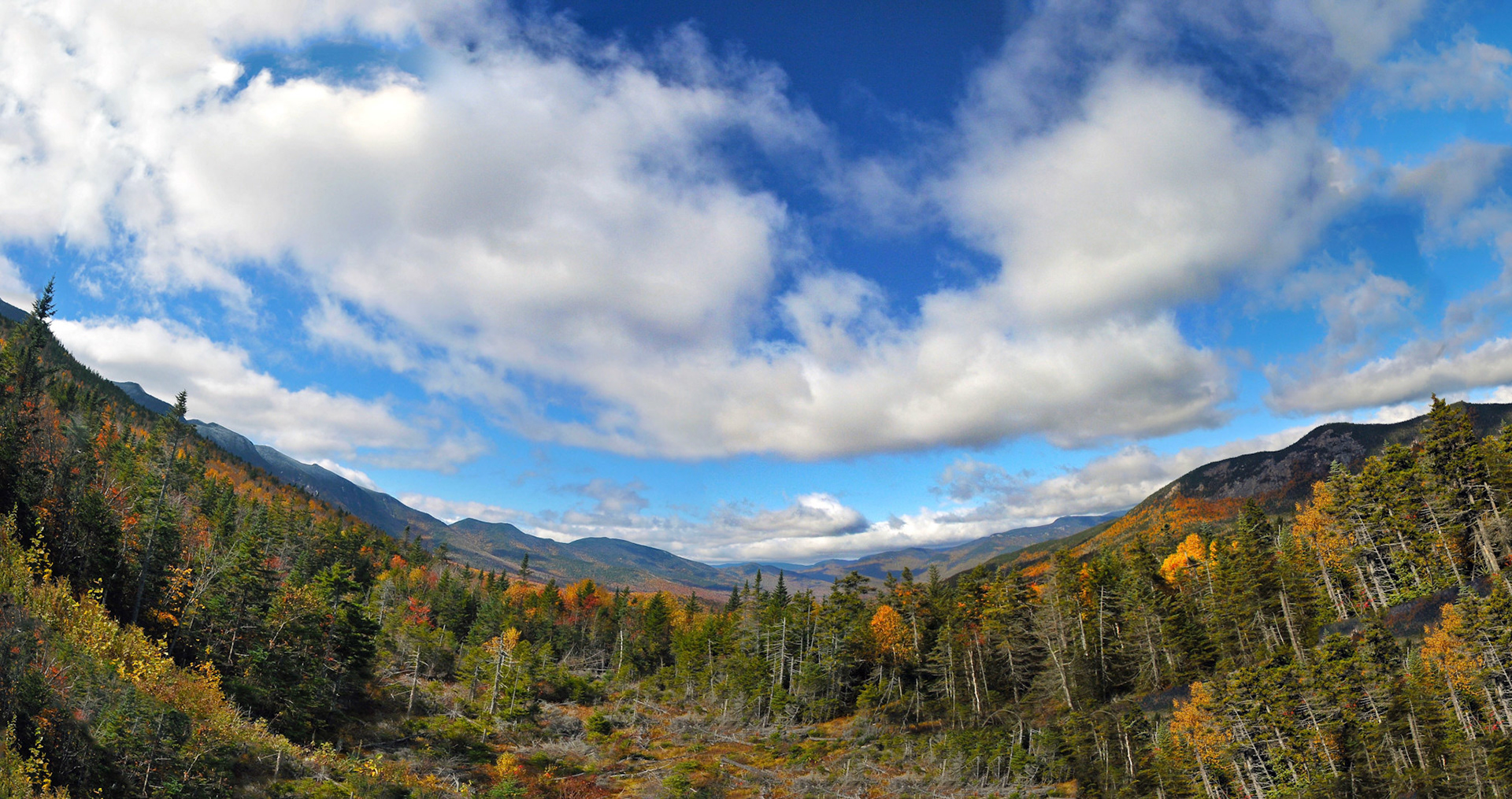 Panorama in White Mountains (NH)
