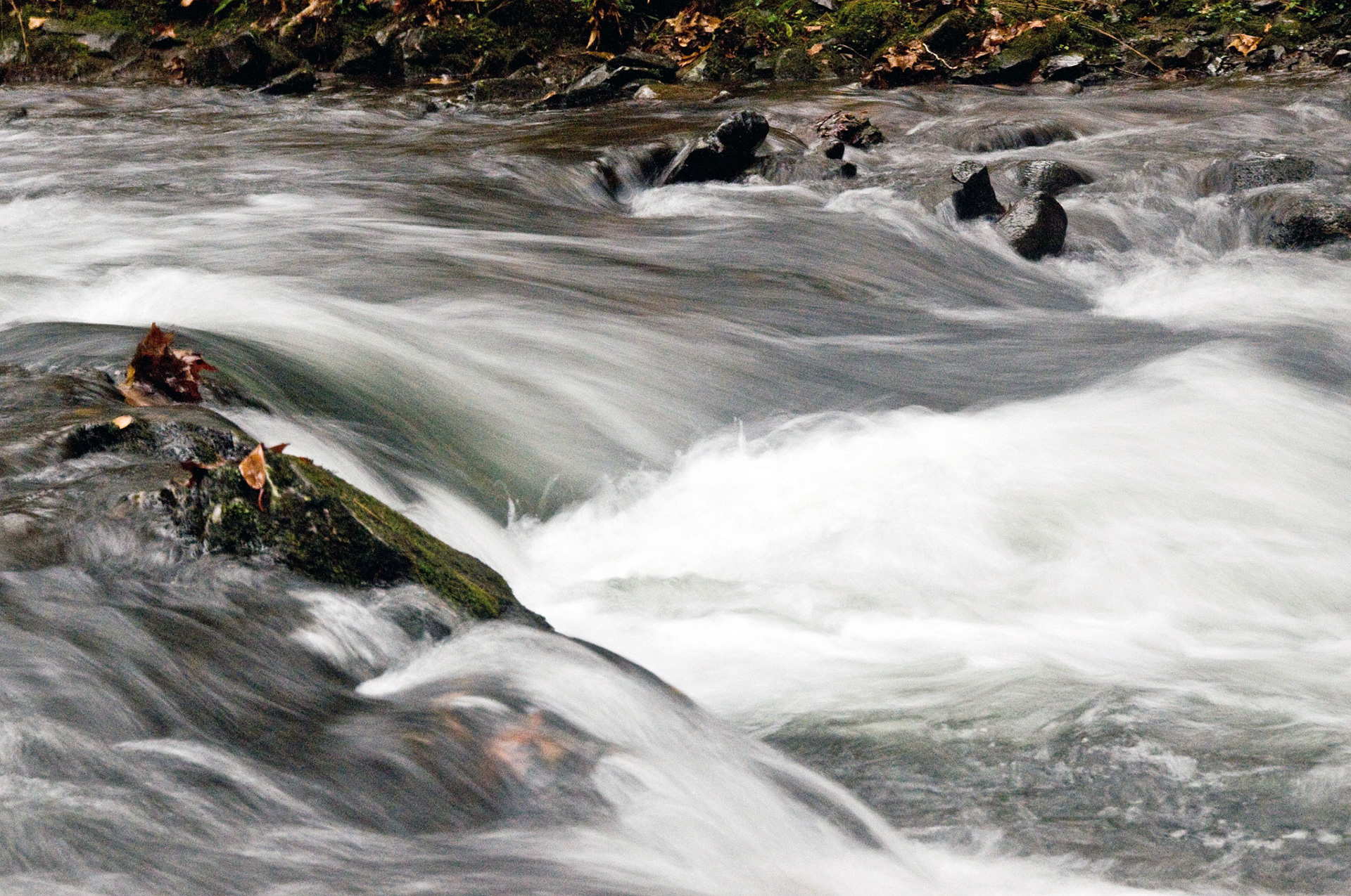 Rushing Waters