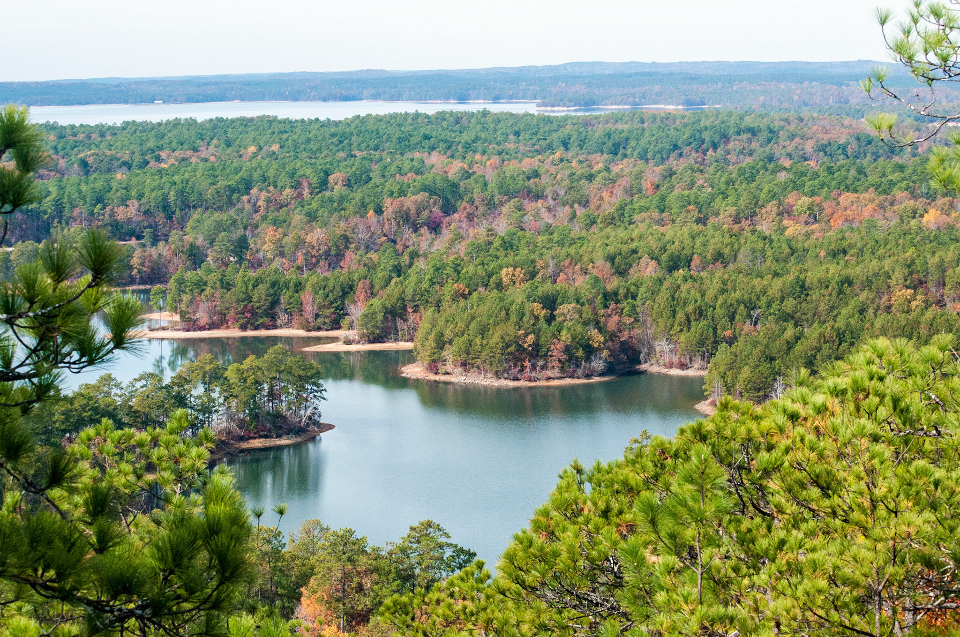 From The Firetower #3