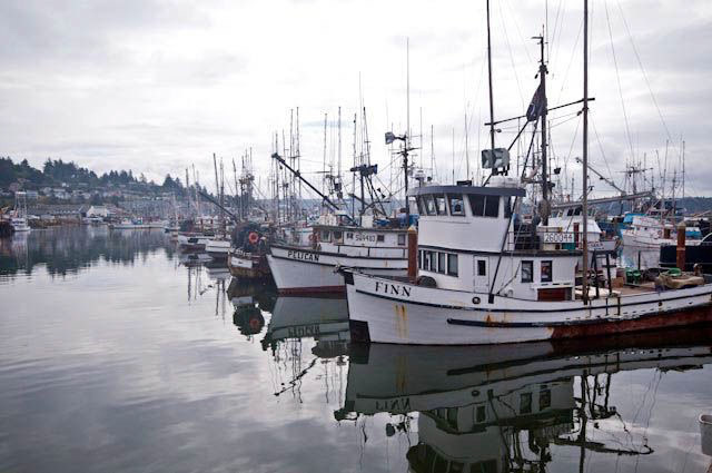 Moored In Newport, OR