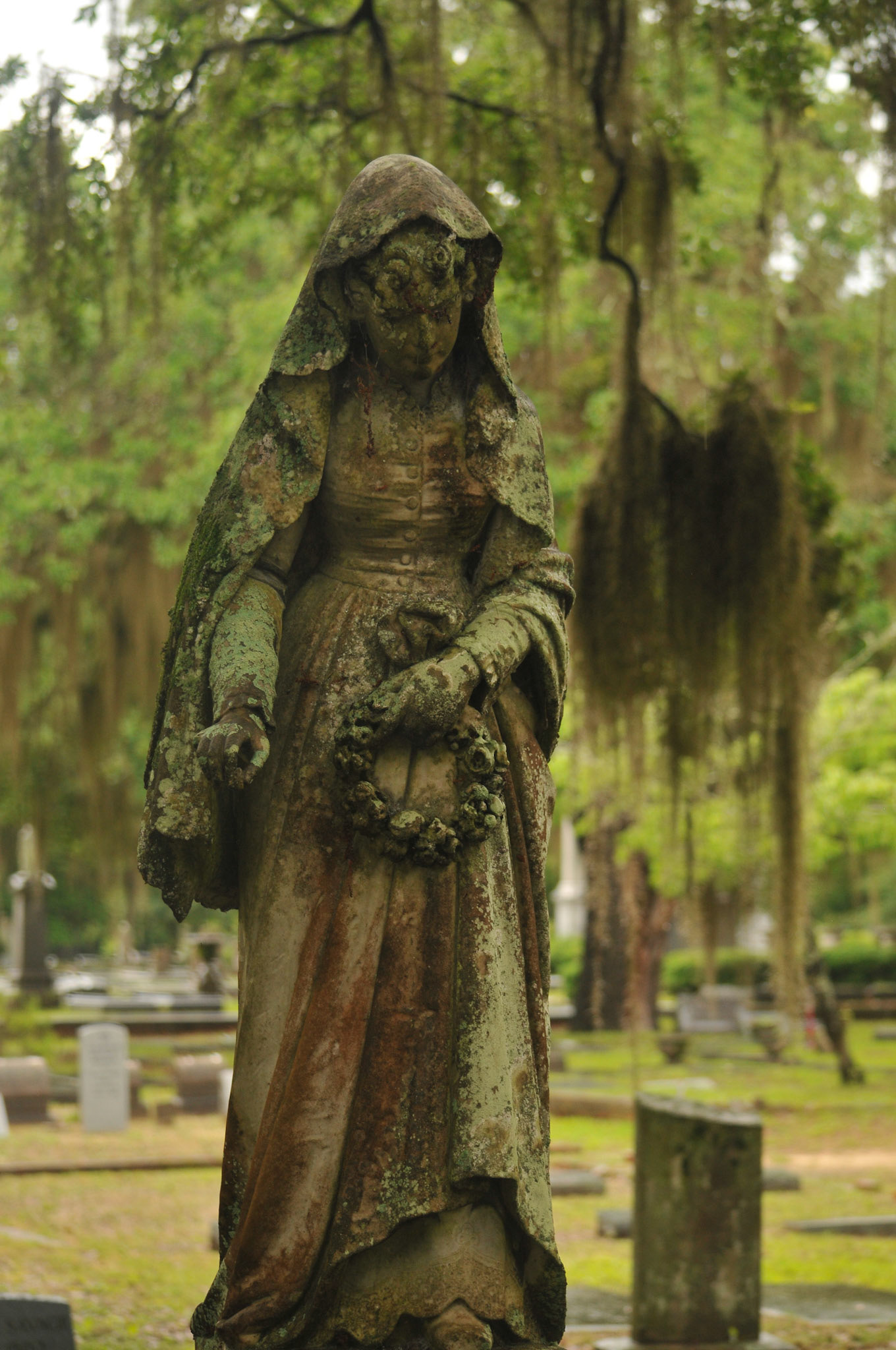 Mary Of The Moss