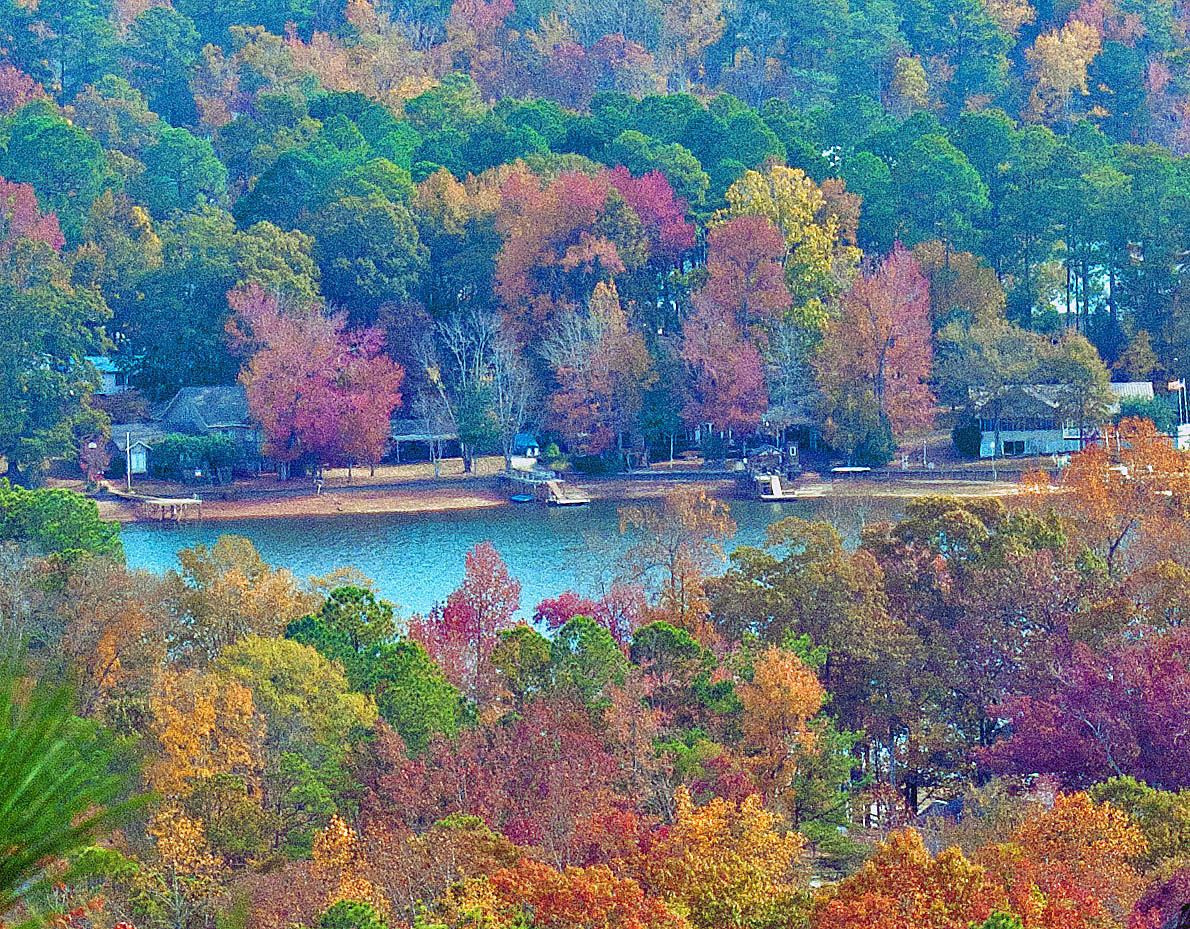 From The Firetower $5