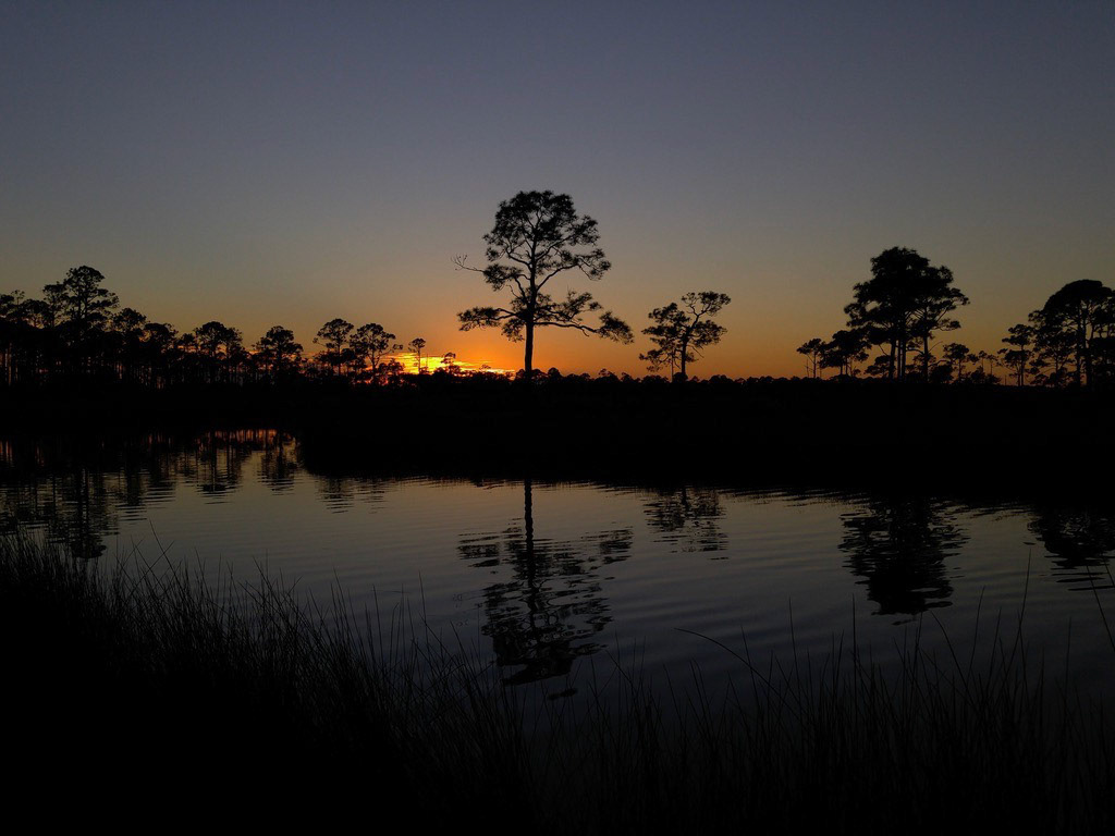 Gator Hole At Dusk